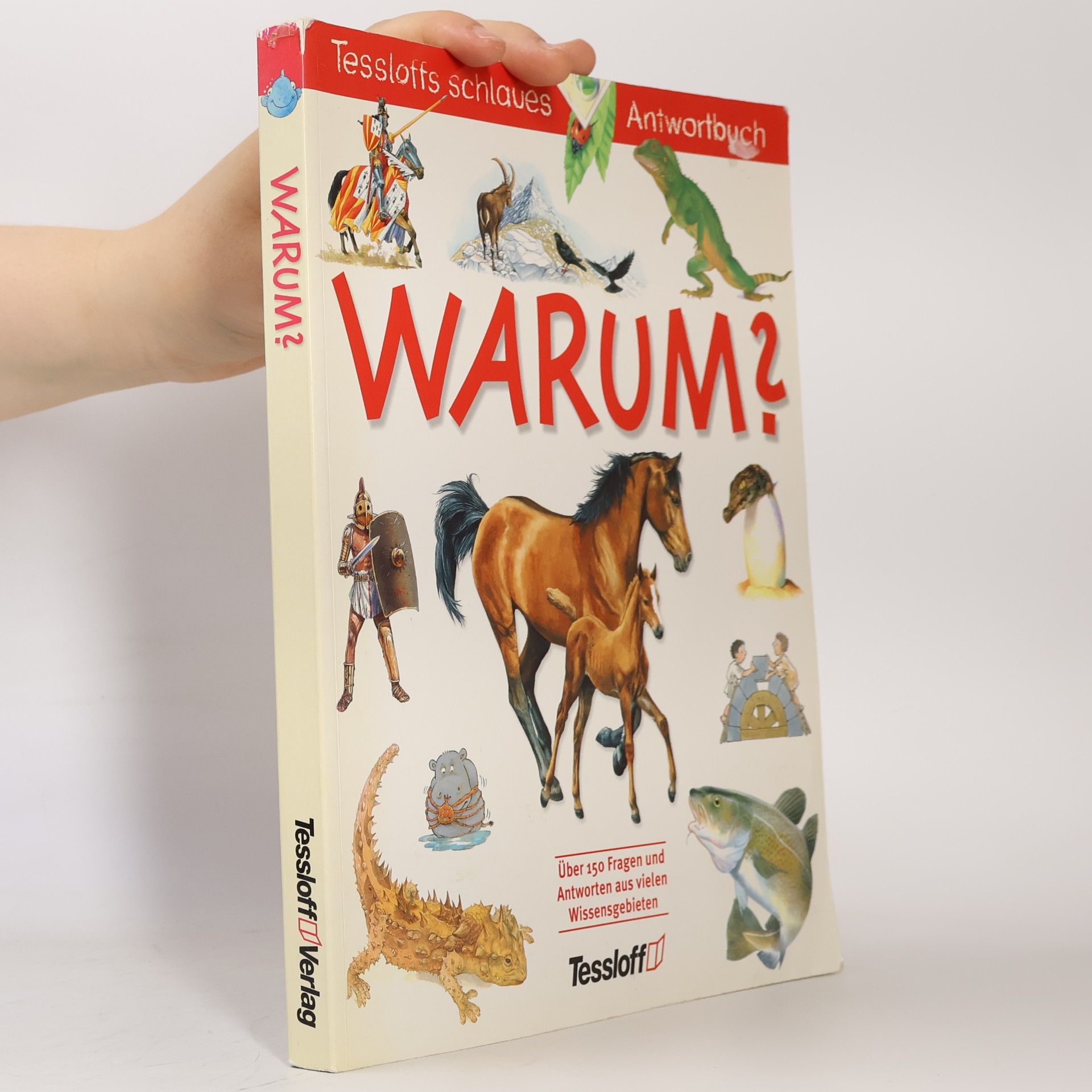 Regina Schneider Warum?