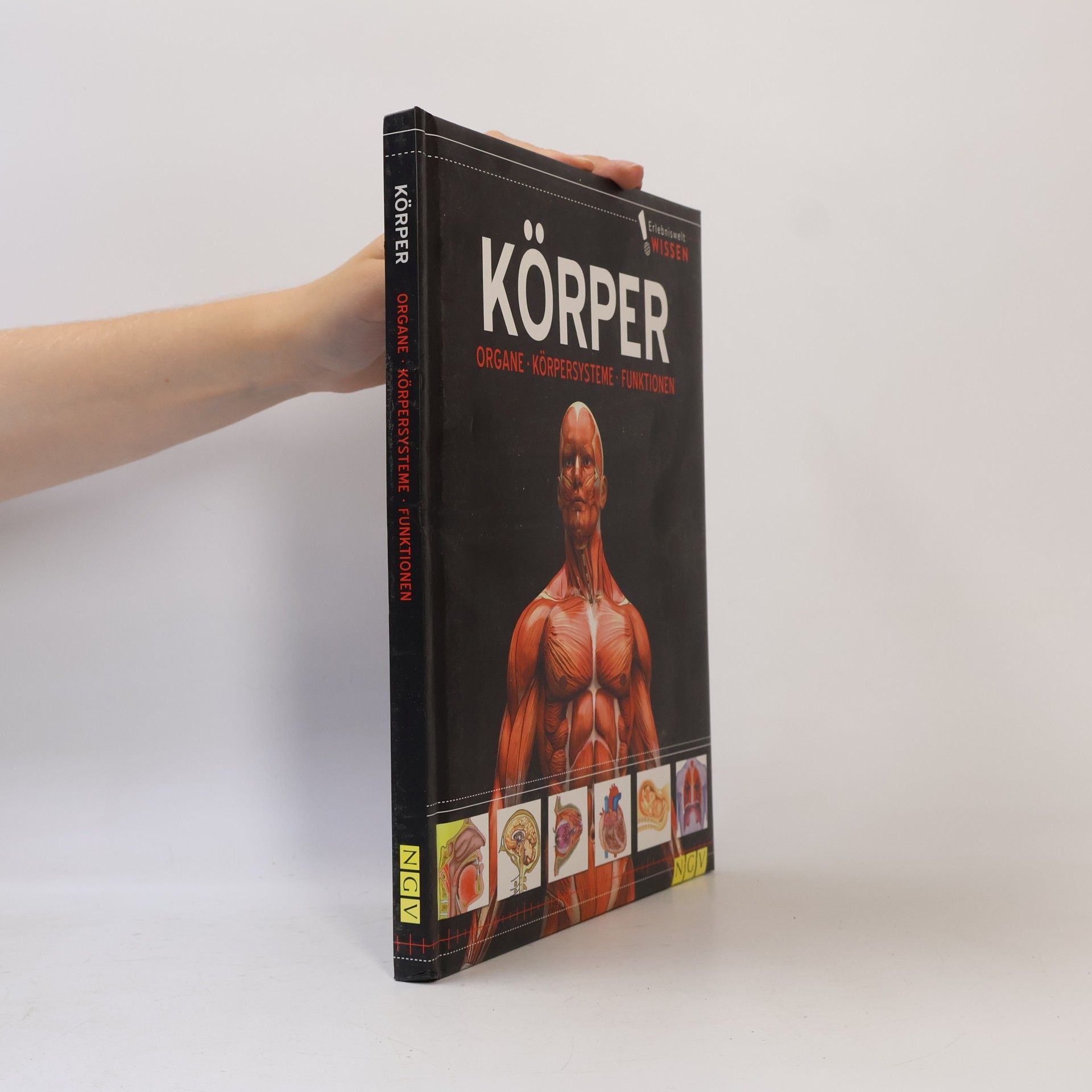 Various authors Körper