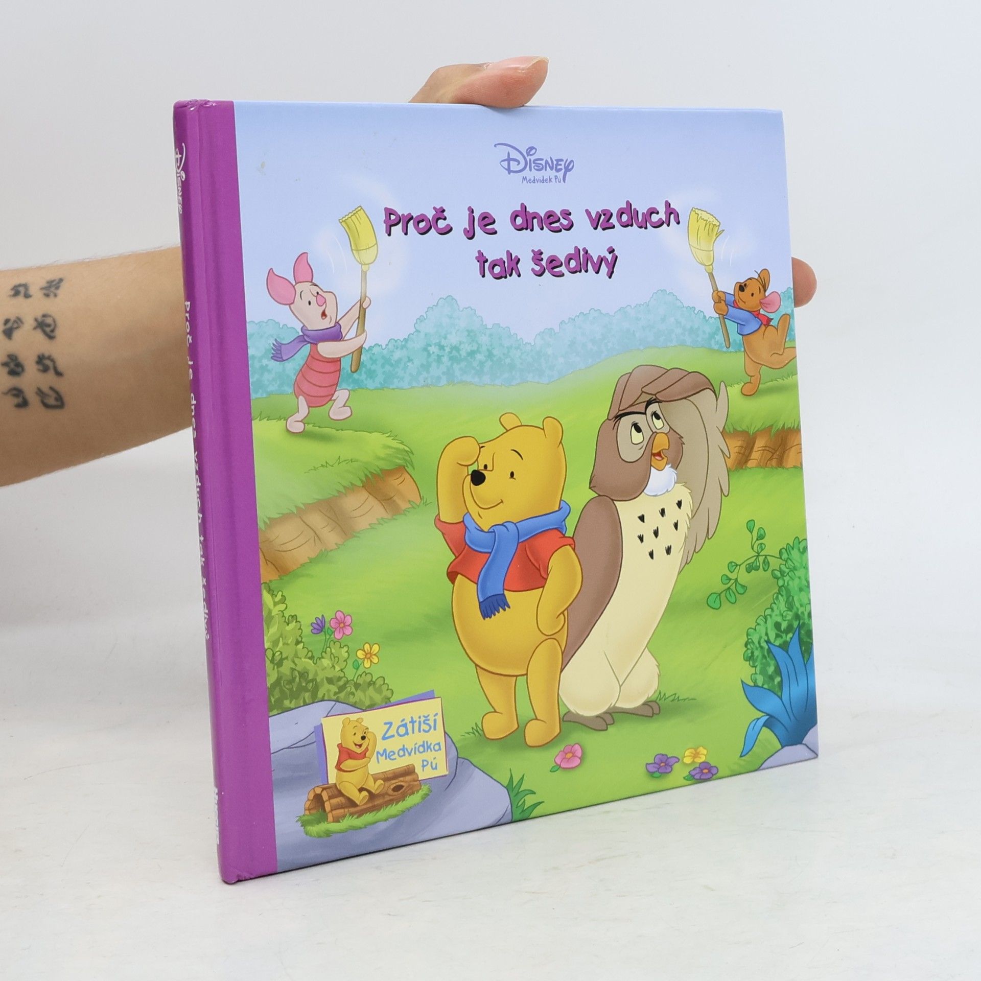 Various authors Proč je dnes vzduch tak šedivý