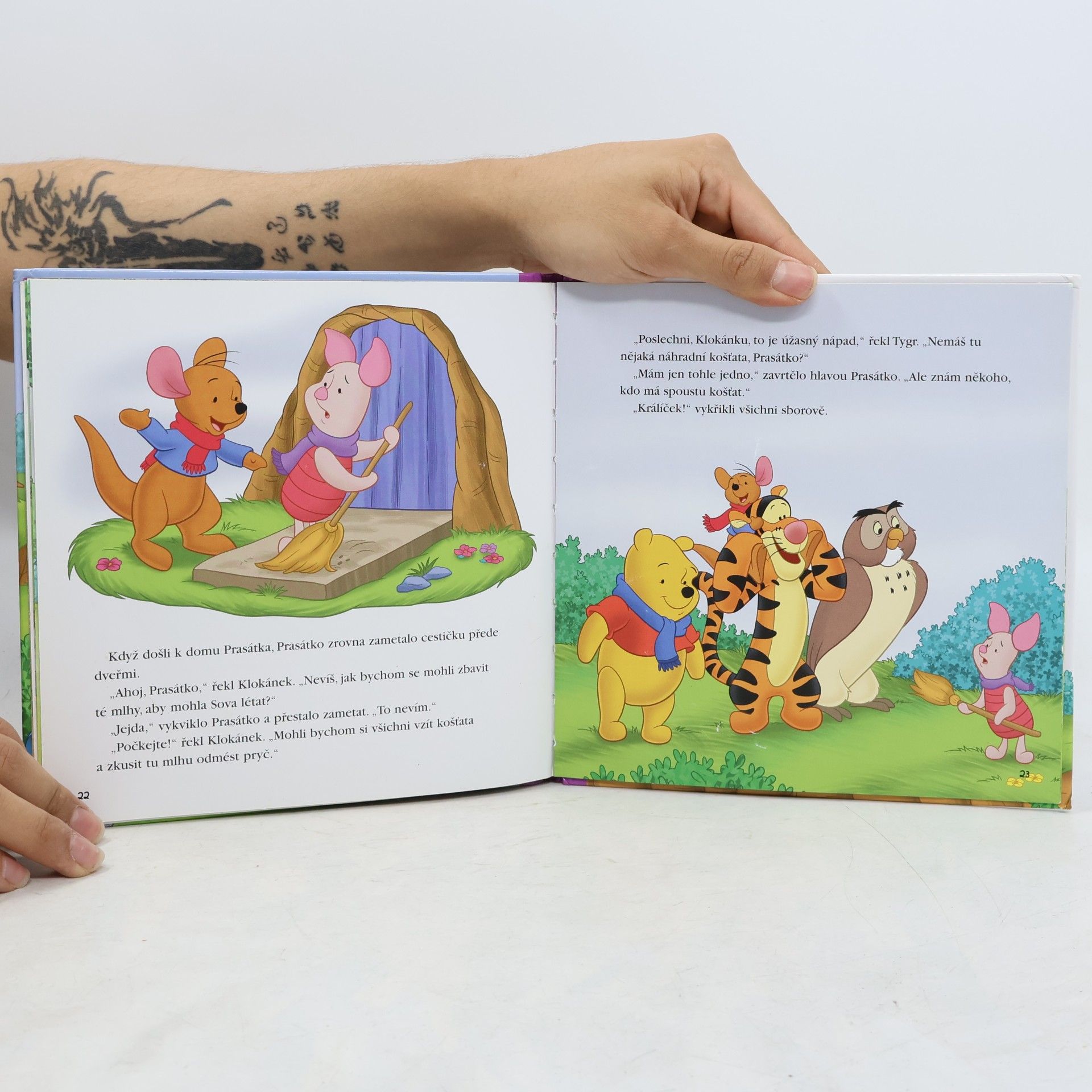 Autorenkollektiv Proč je dnes vzduch tak šedivý