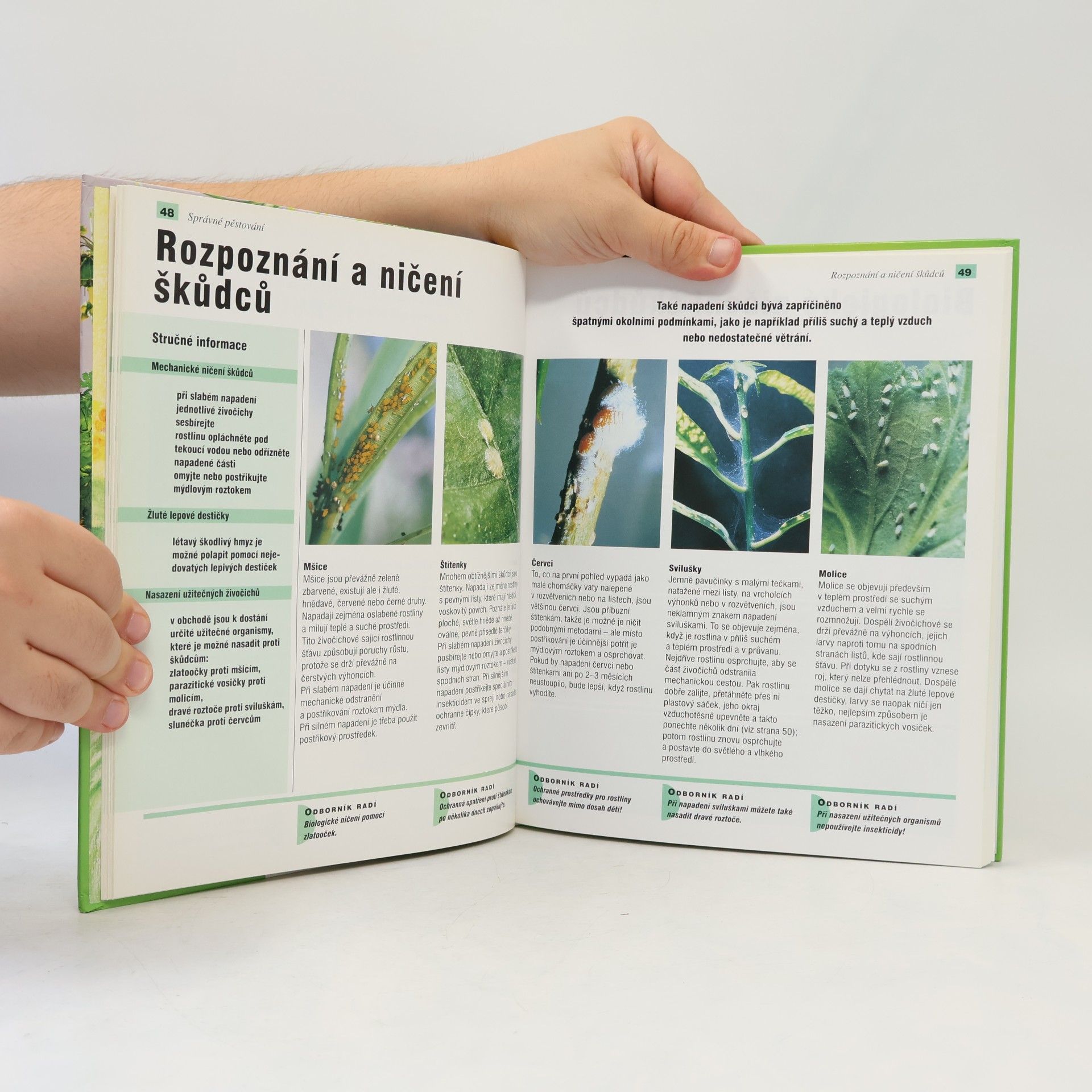 Anja Flehmig Pokojové rostliny