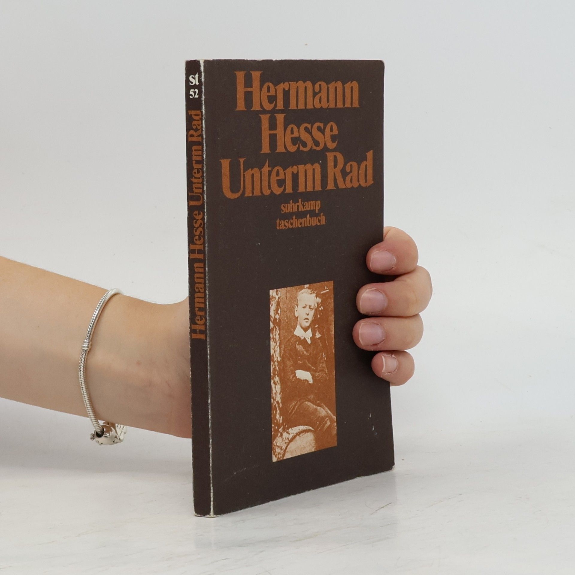 Hermann Hesse Unterm Rad
