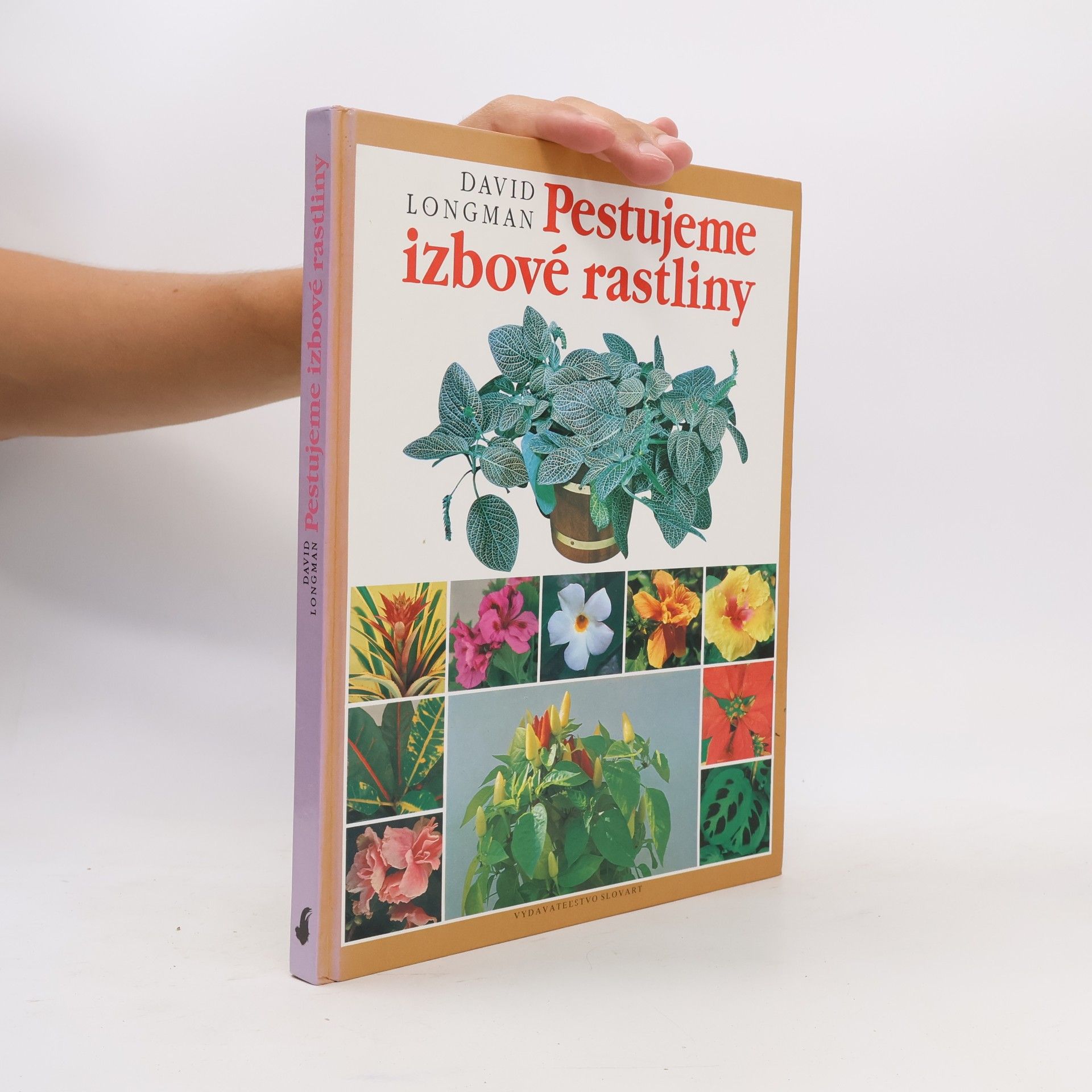 David Longman Pestujeme izbové rastliny