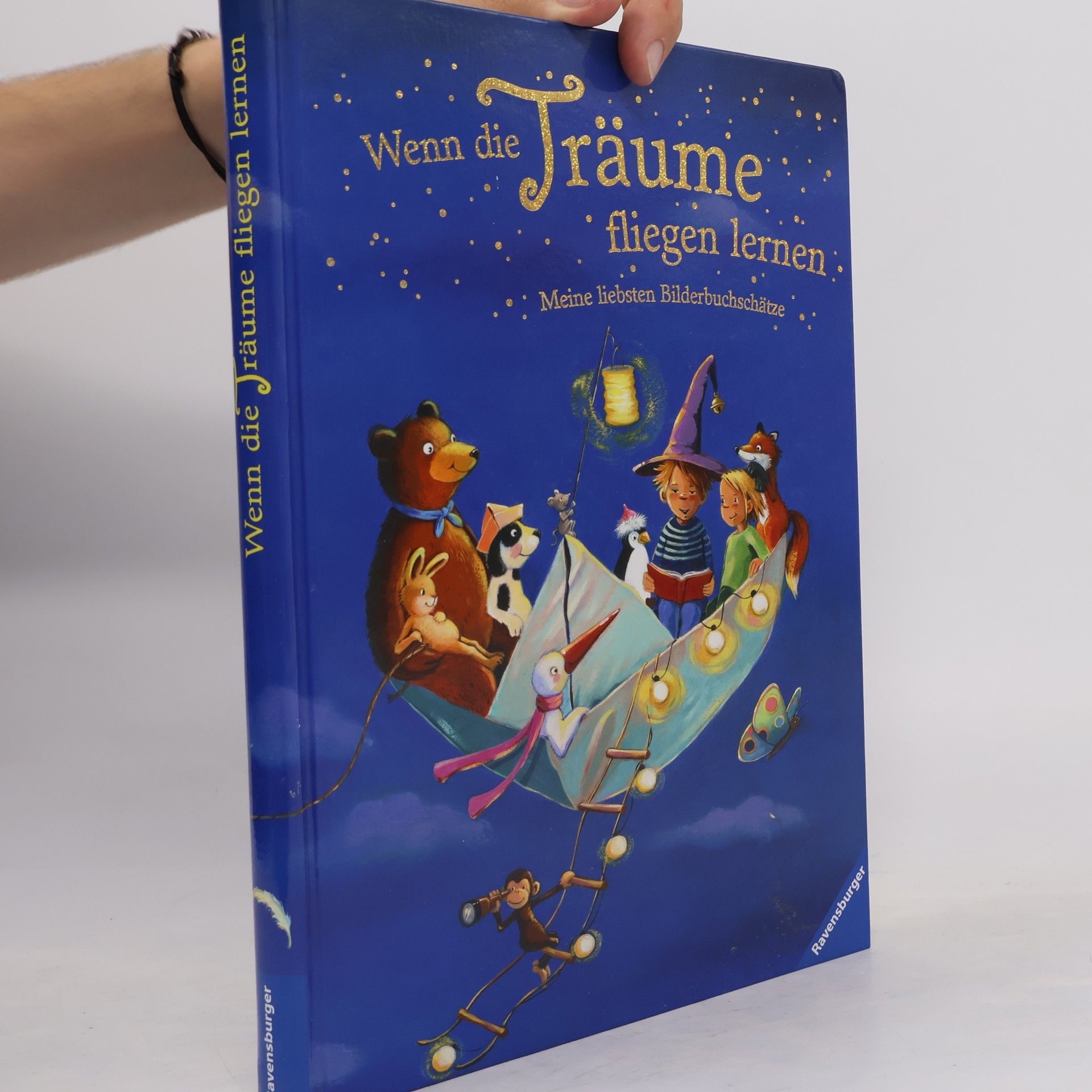 Various authors Wenn die Träume fliegen lernen