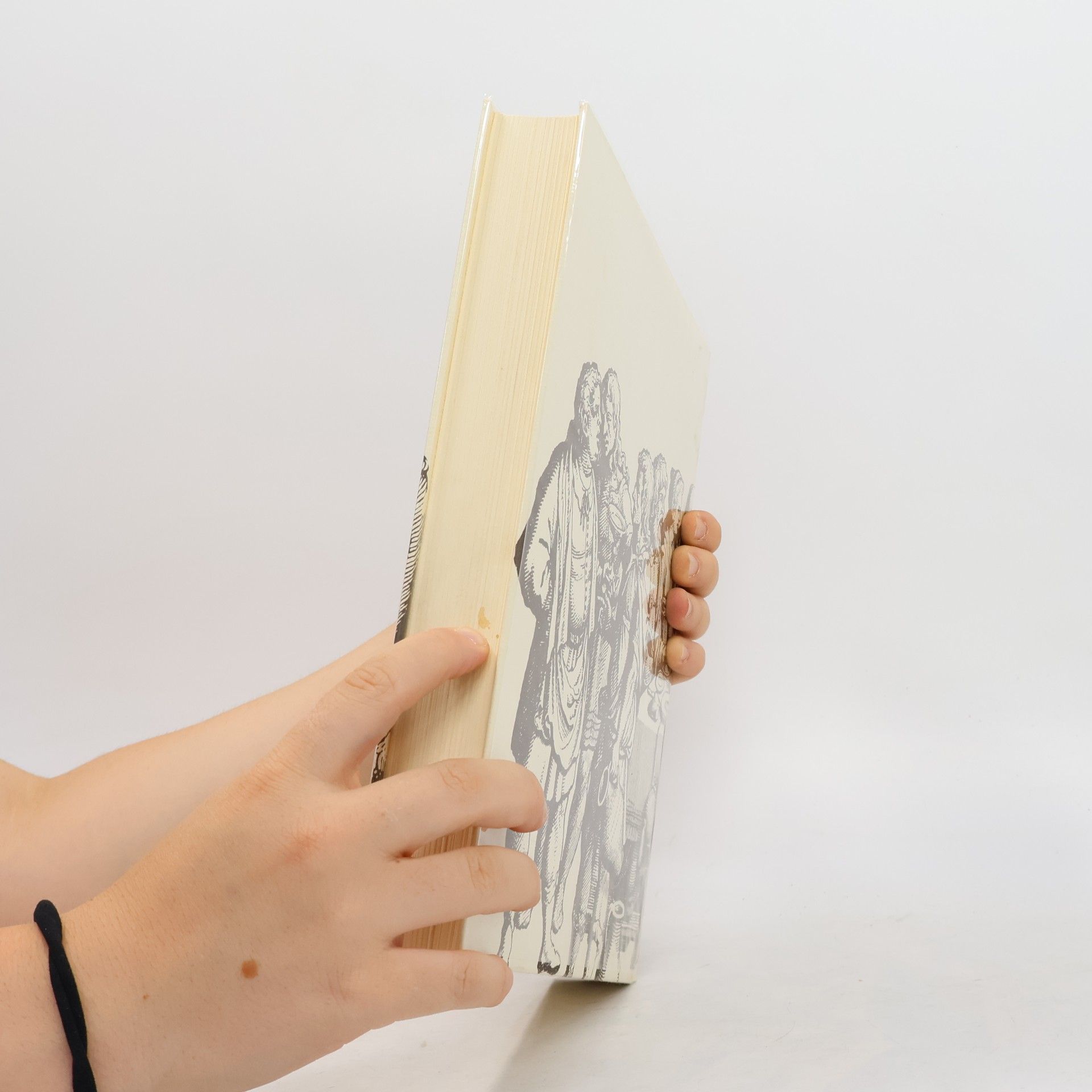 Matthäus Merian Die Bilder zur Bibel