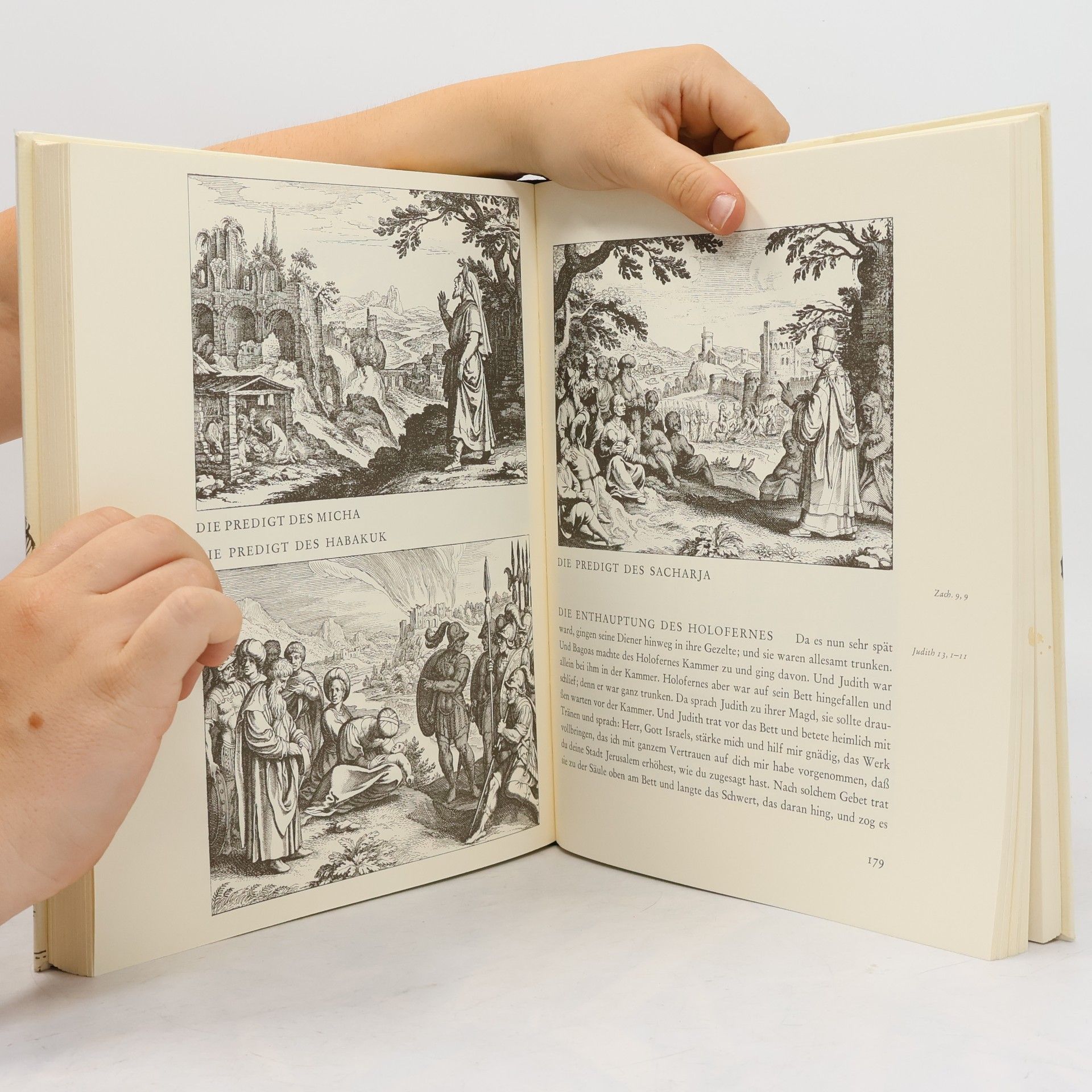 Matthäus Merian Die Bilder zur Bibel