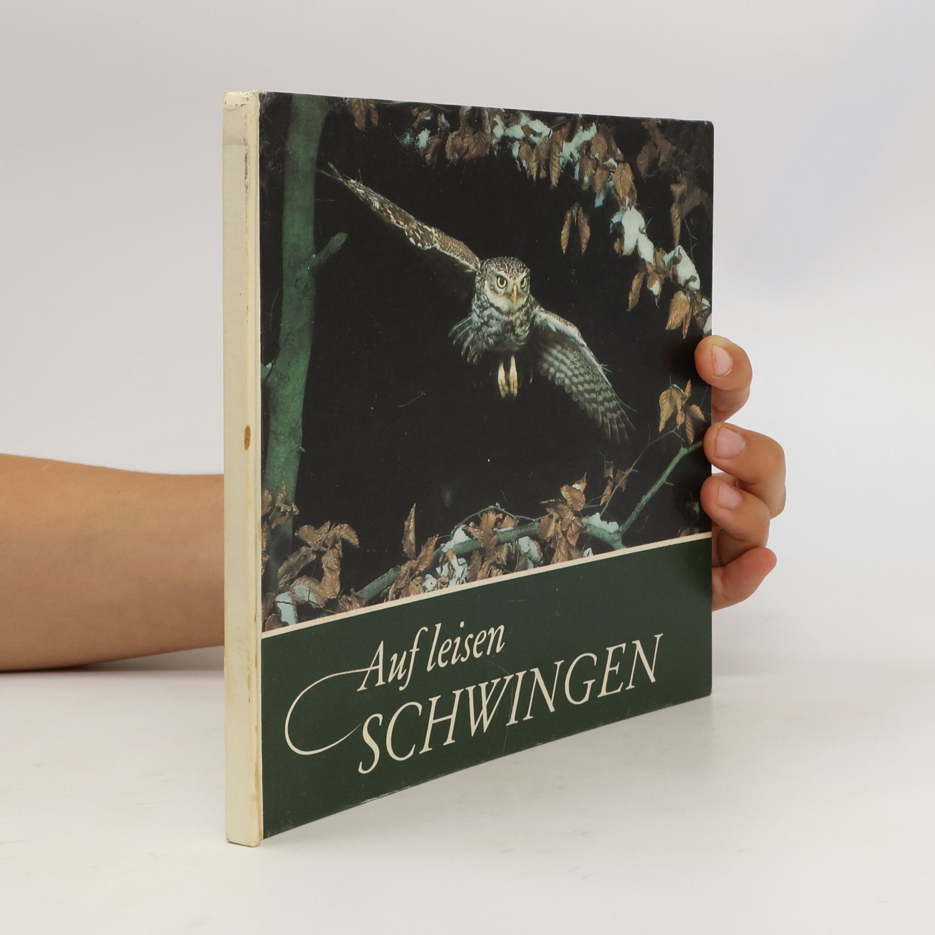 Autorenkollektiv Auf leisen Schwingen