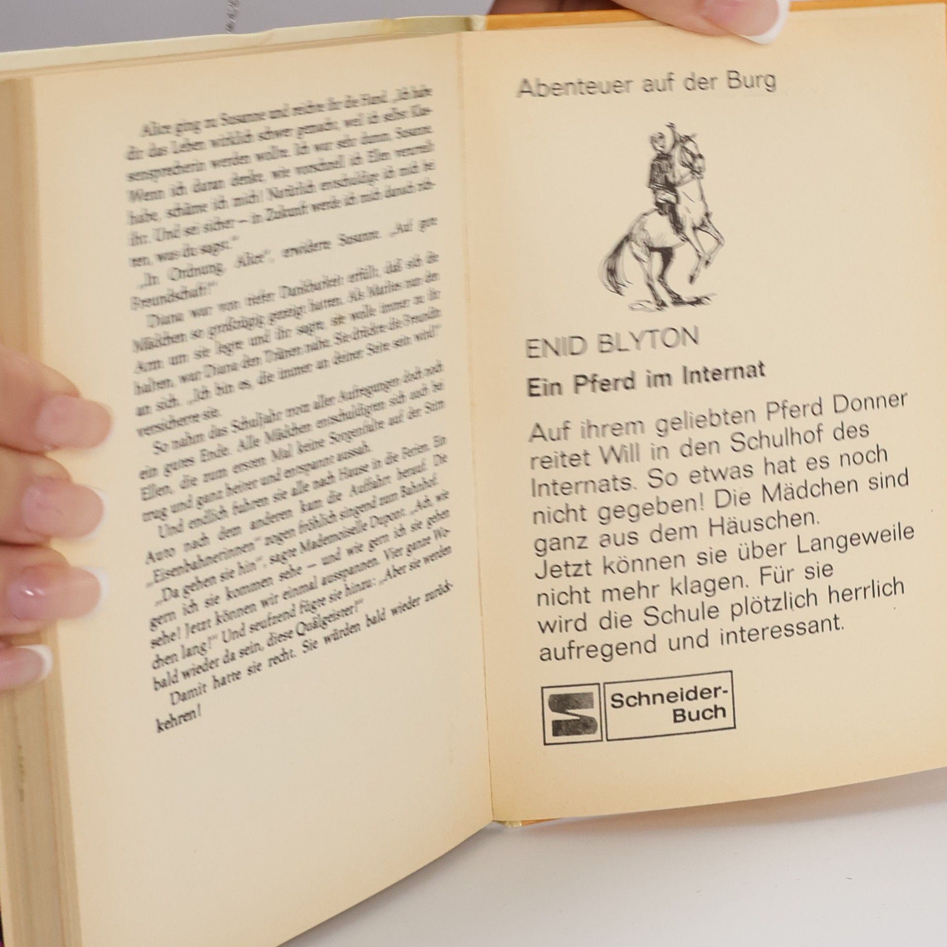 Enid Blyton Wirbel in Klasse 2