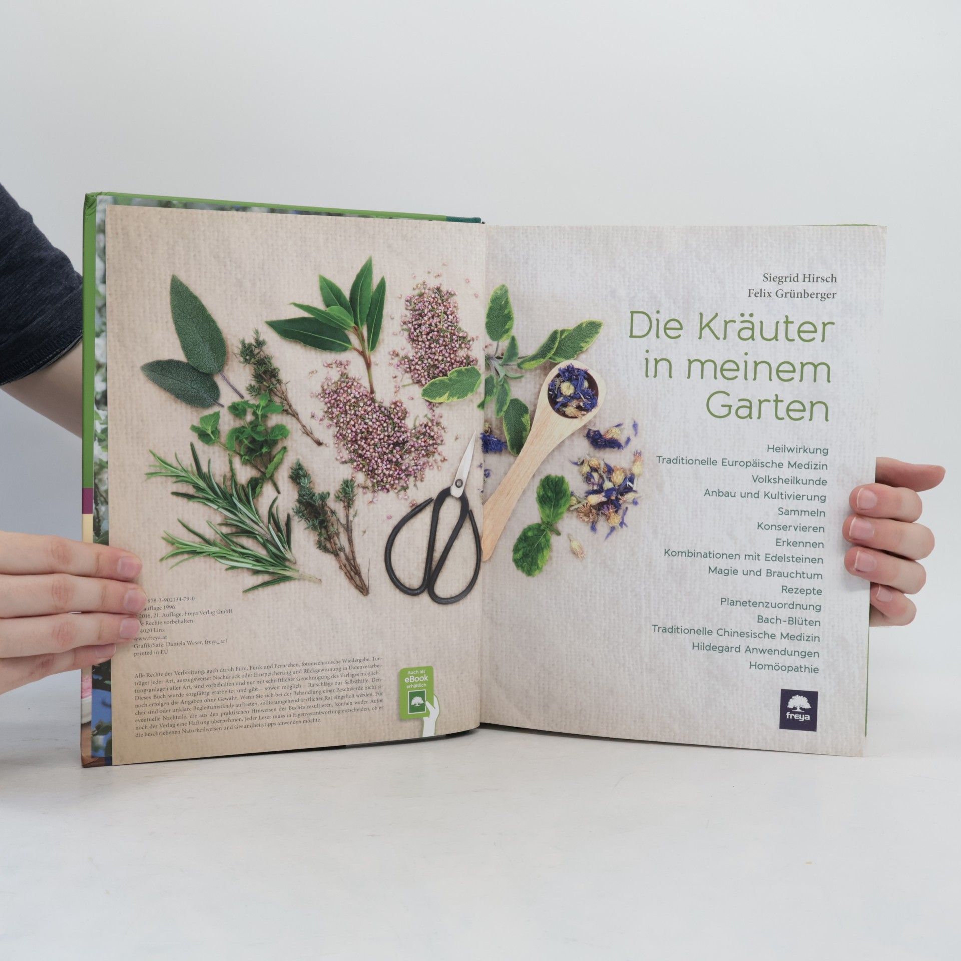 Siegrid Hirsch Die Kräuter in meinem Garten