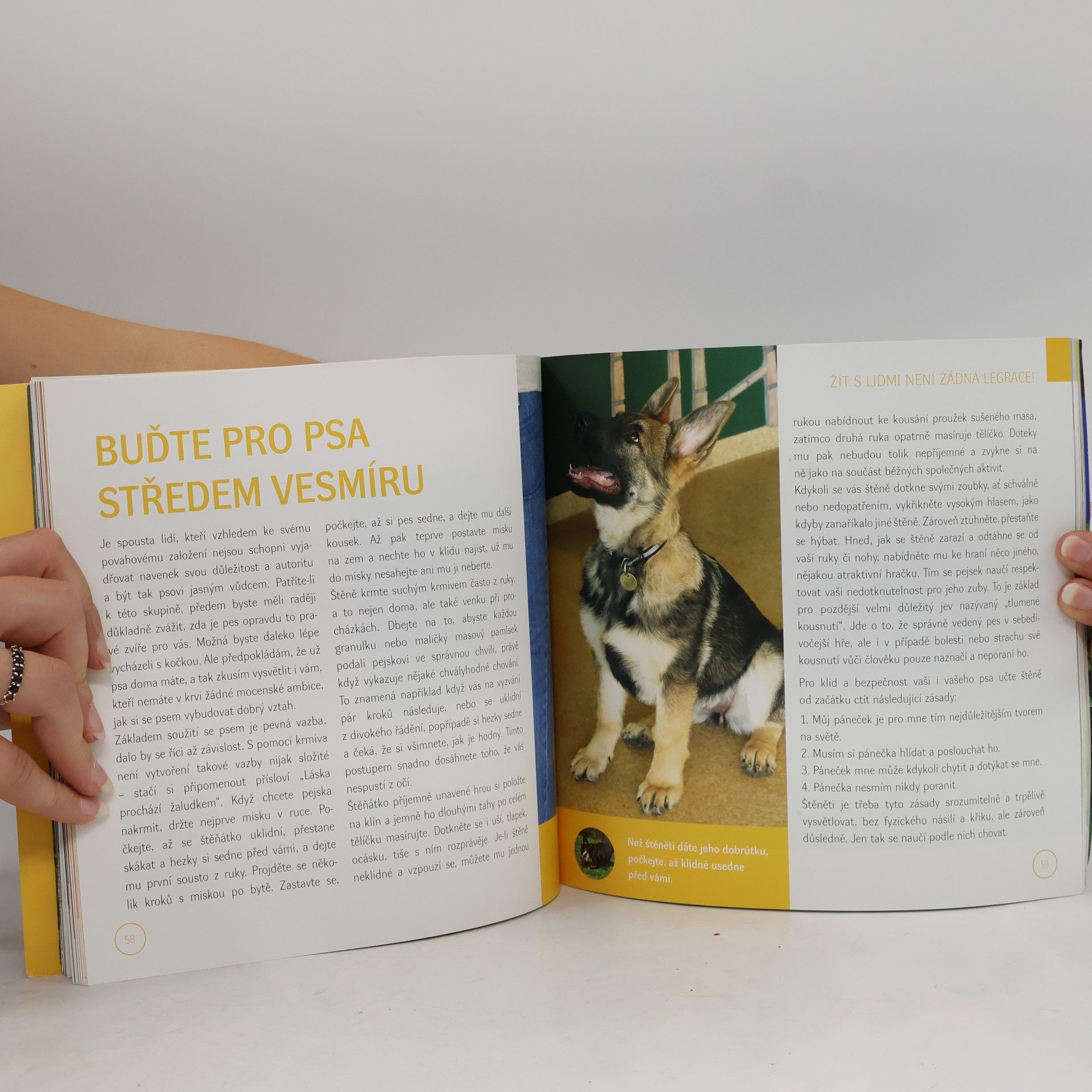 Hana Žertová Od štěněte ke psu