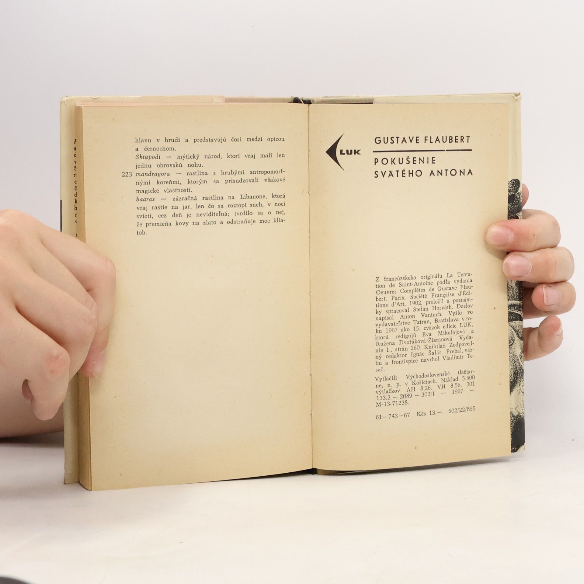 Gustave Flaubert Pokušenie svätého Antona