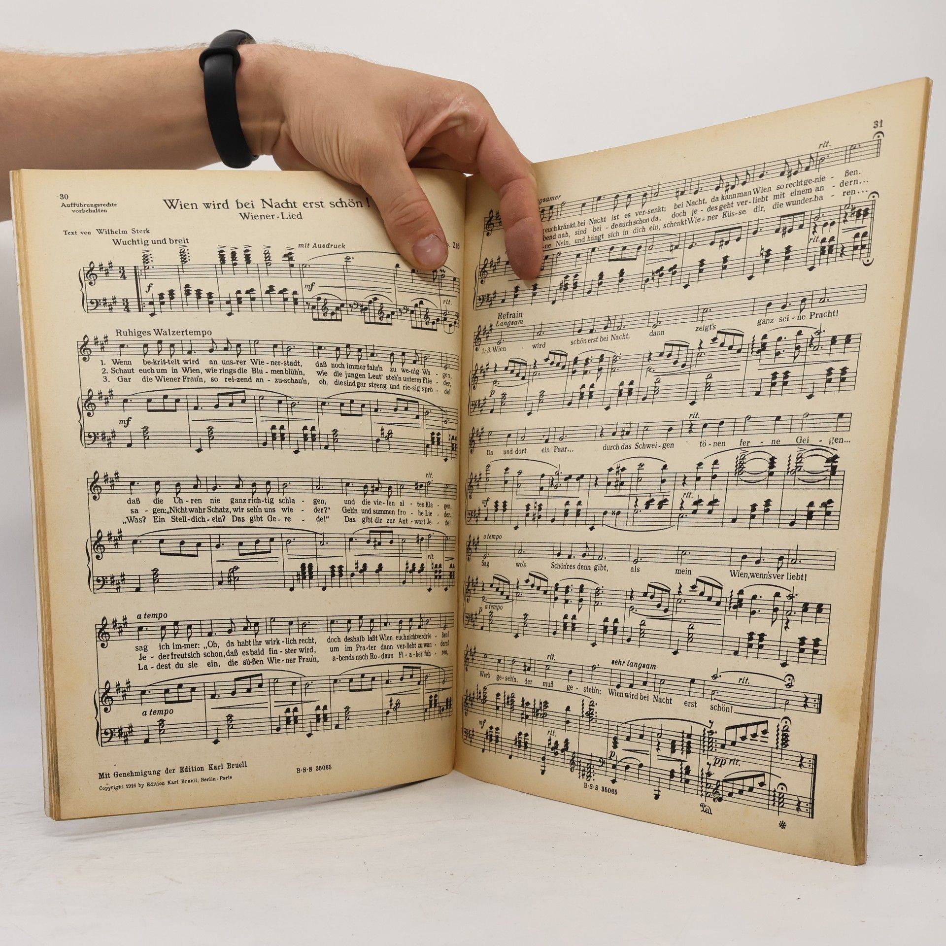 Kolektiv autorů Wien, Wien, en, nur du allein