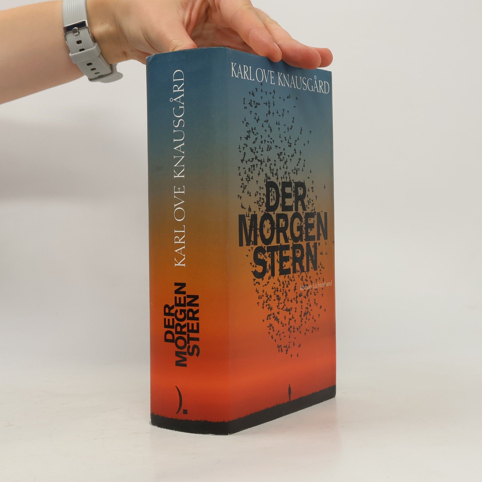 Karl Ove Knausgård Der Morgenstern