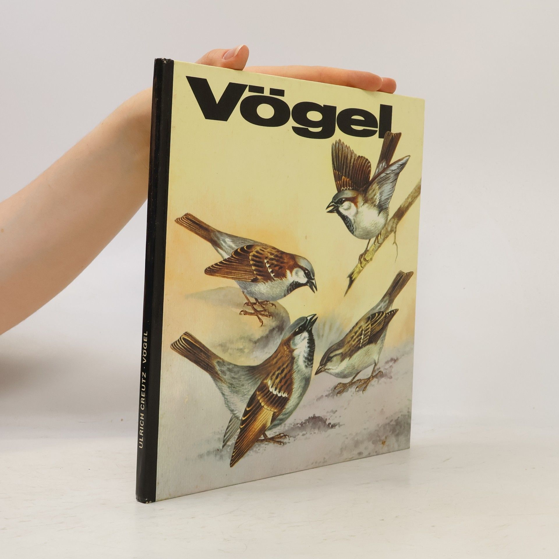 Ulrich Greutz Vögel