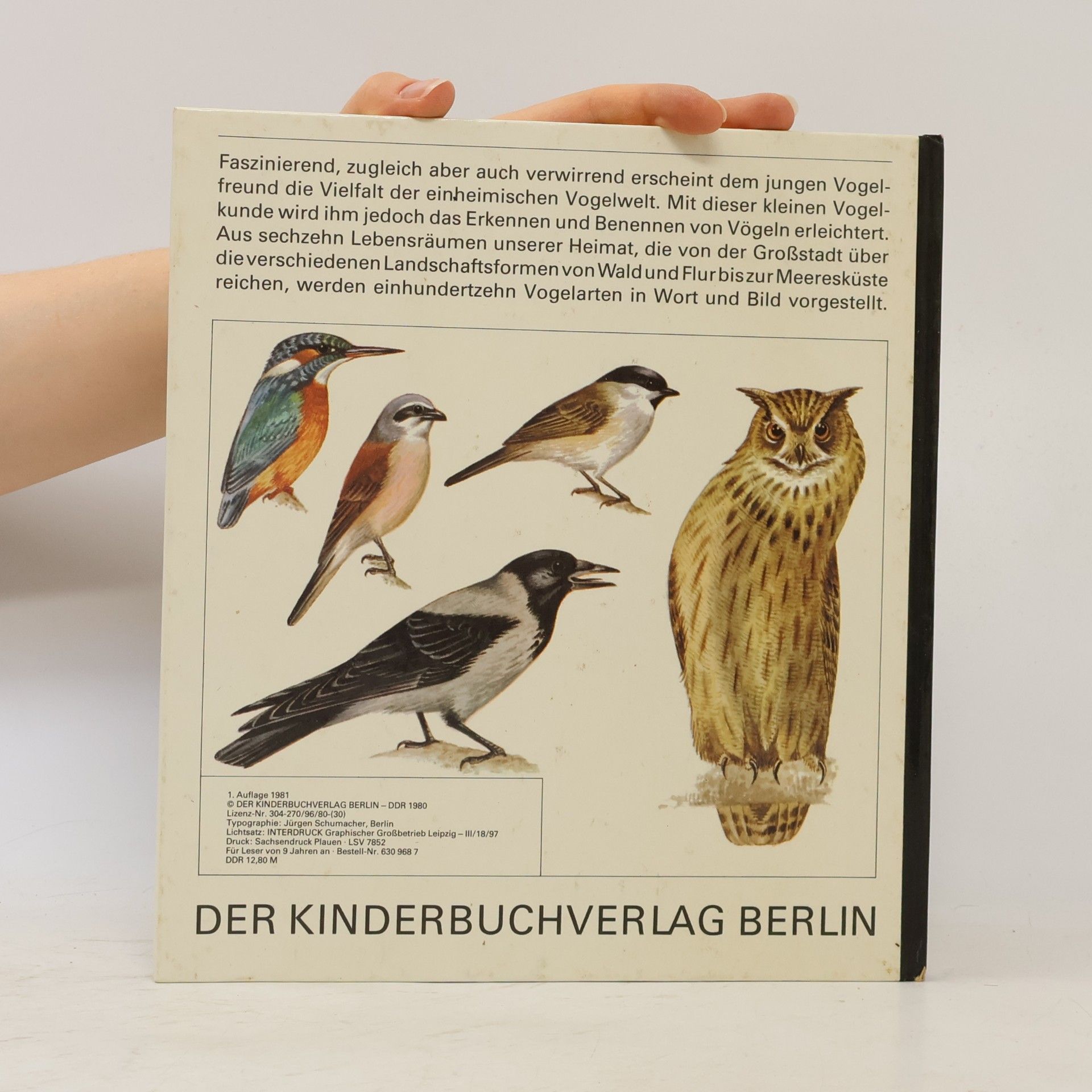 Ulrich Greutz Vögel