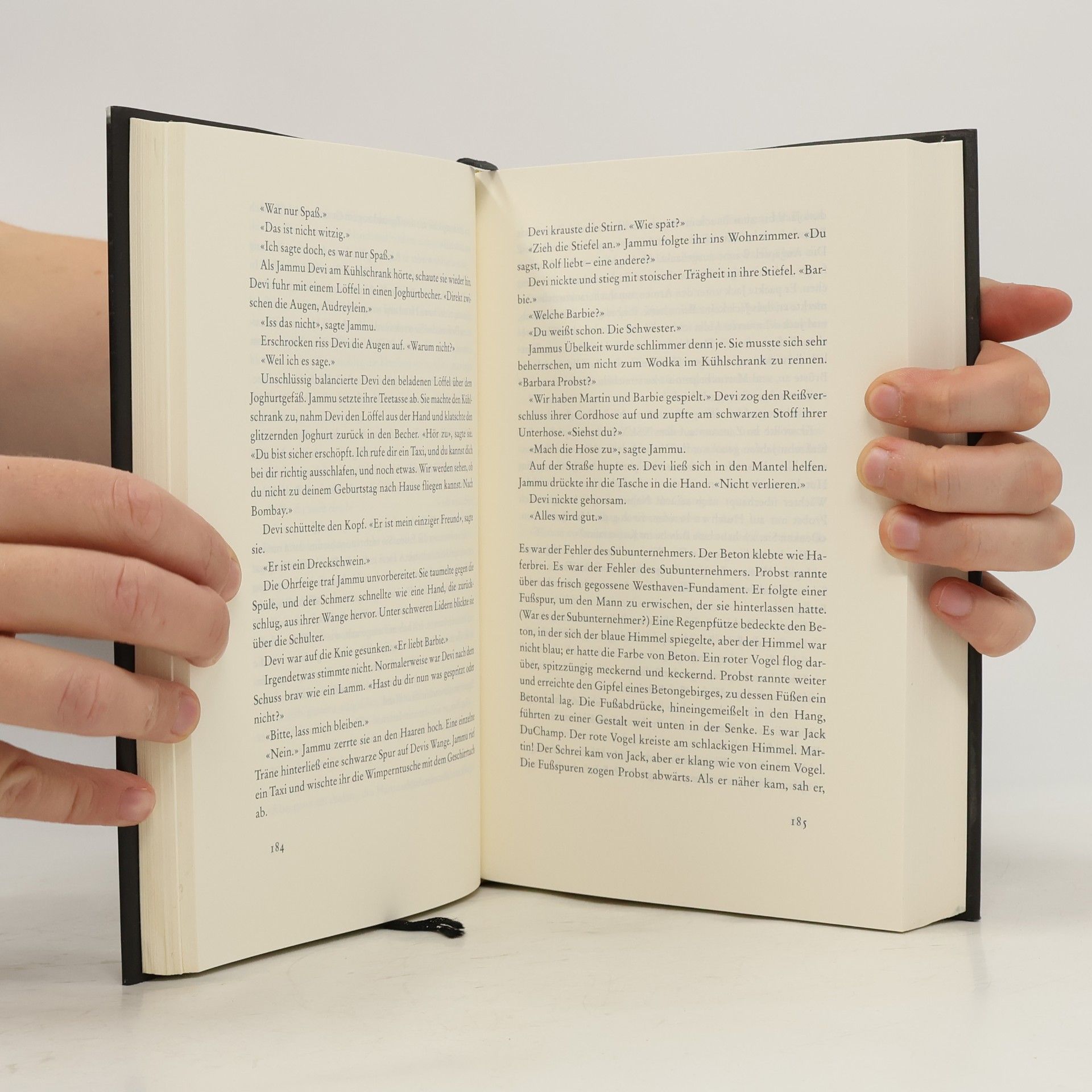 Jonathan Franzen Die 27ste Stadt