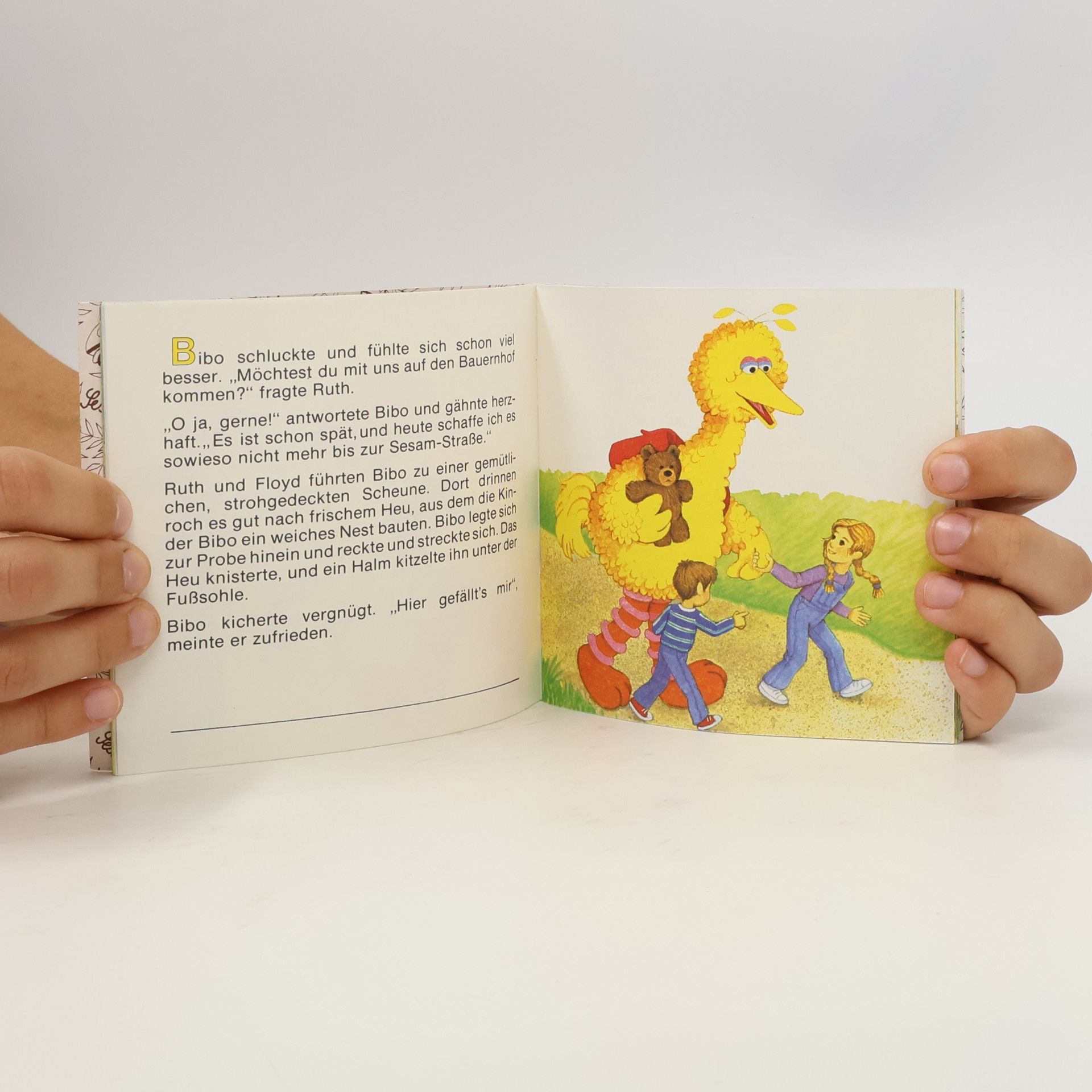 Autorenkollektiv Sesamstrasse Nr. 6: Abenteuer auf dem Bauernhof