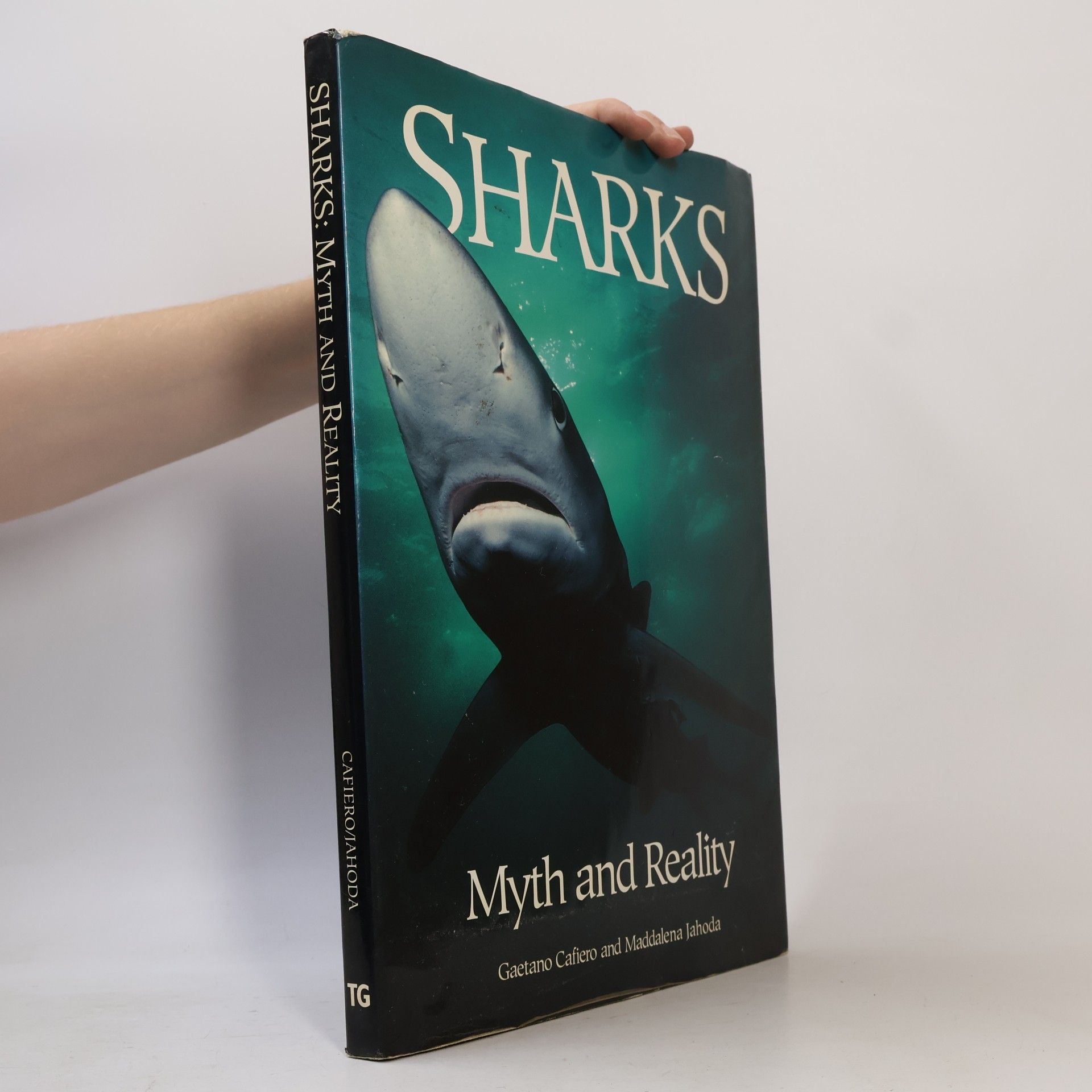 Maddalena Jahoda Sharks