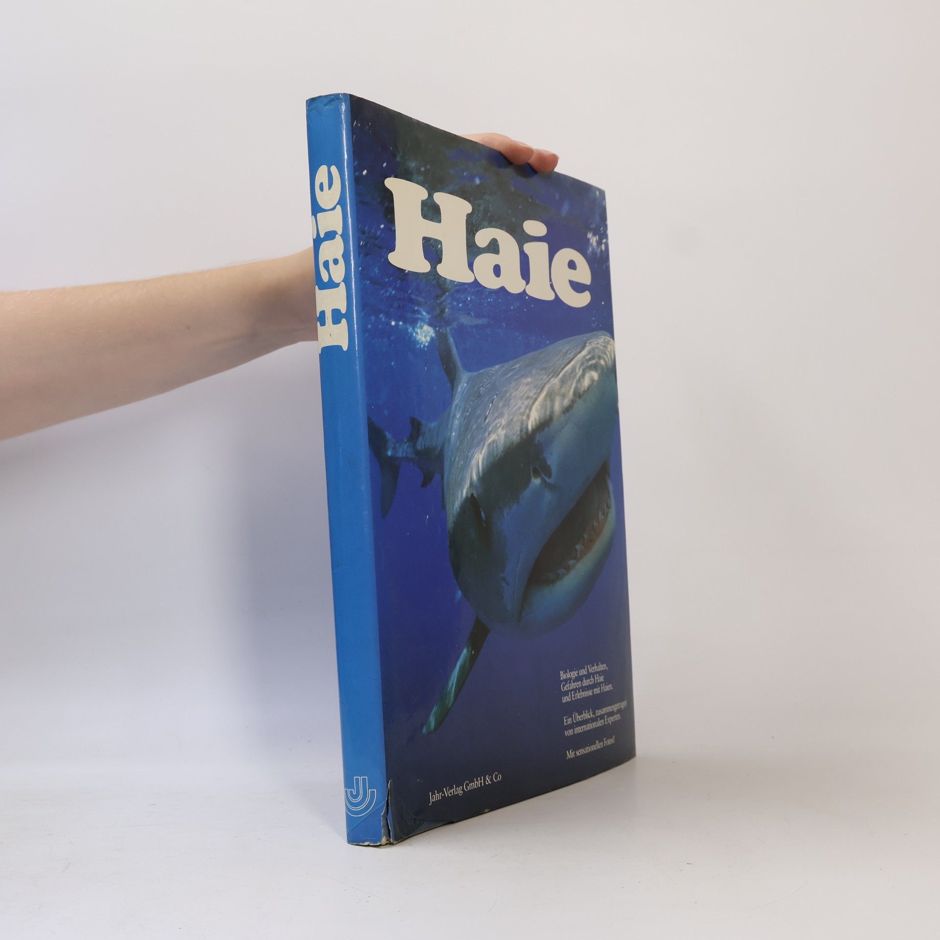 Auteurscollectief Haie