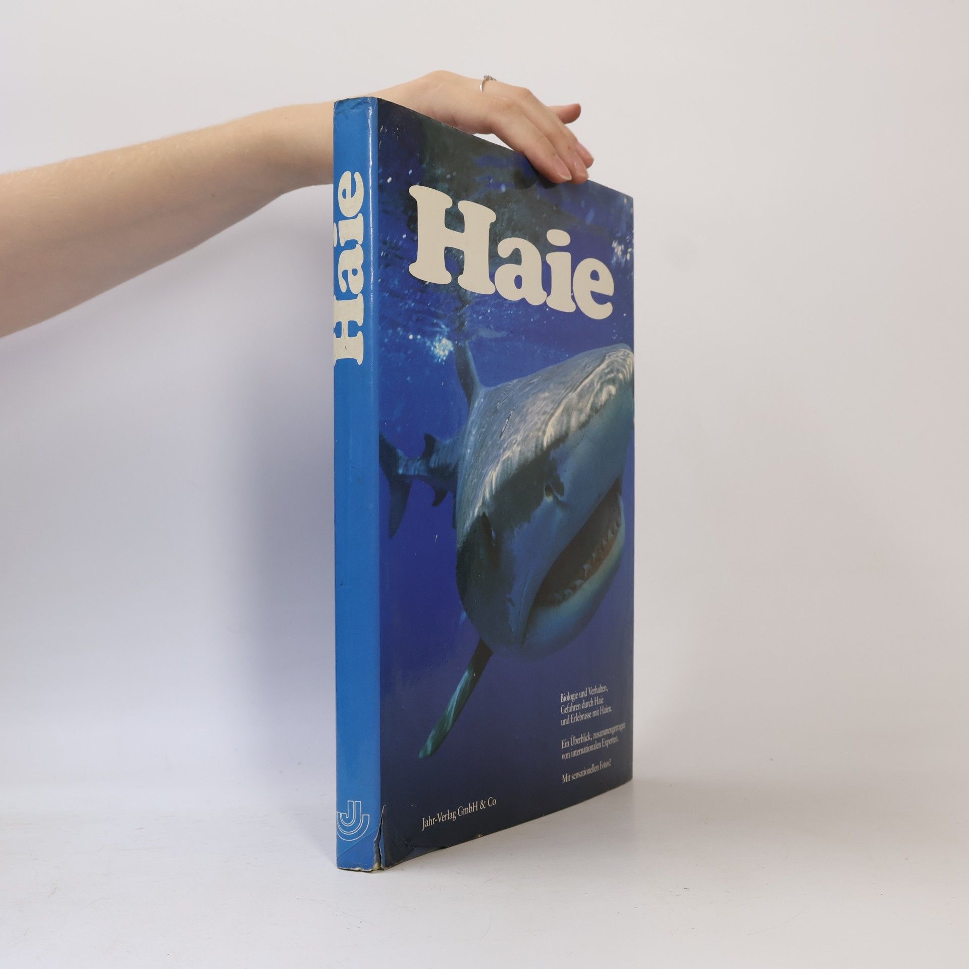 Auteurscollectief Haie