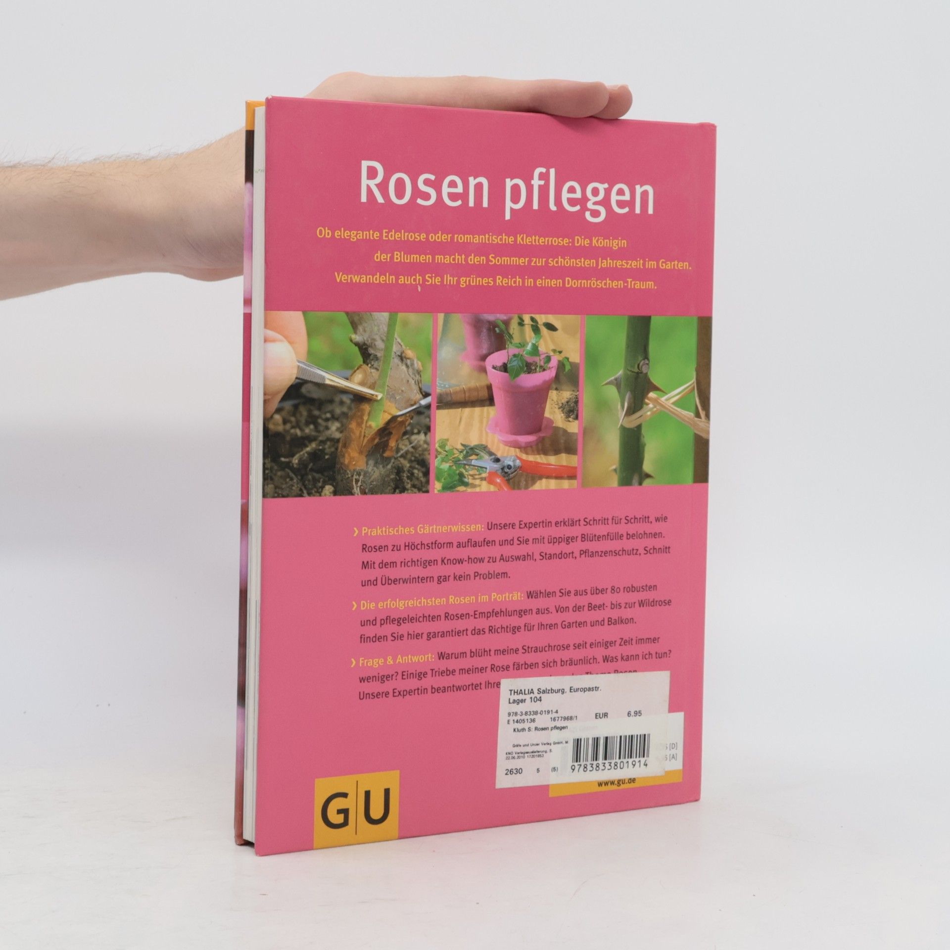 Silke Kluth Rosen pflegen