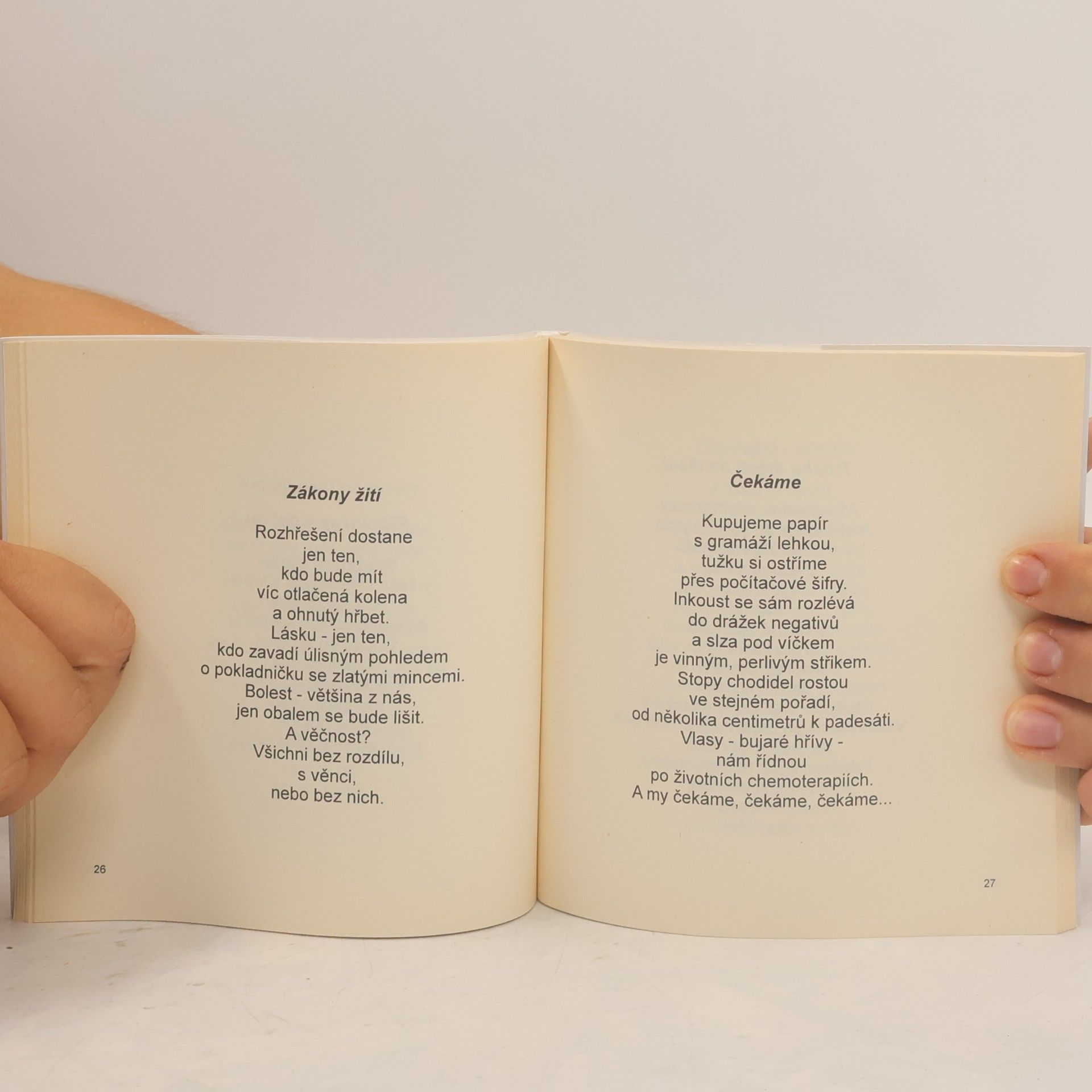 Bohumila Sarnová-Horková Literární podoby