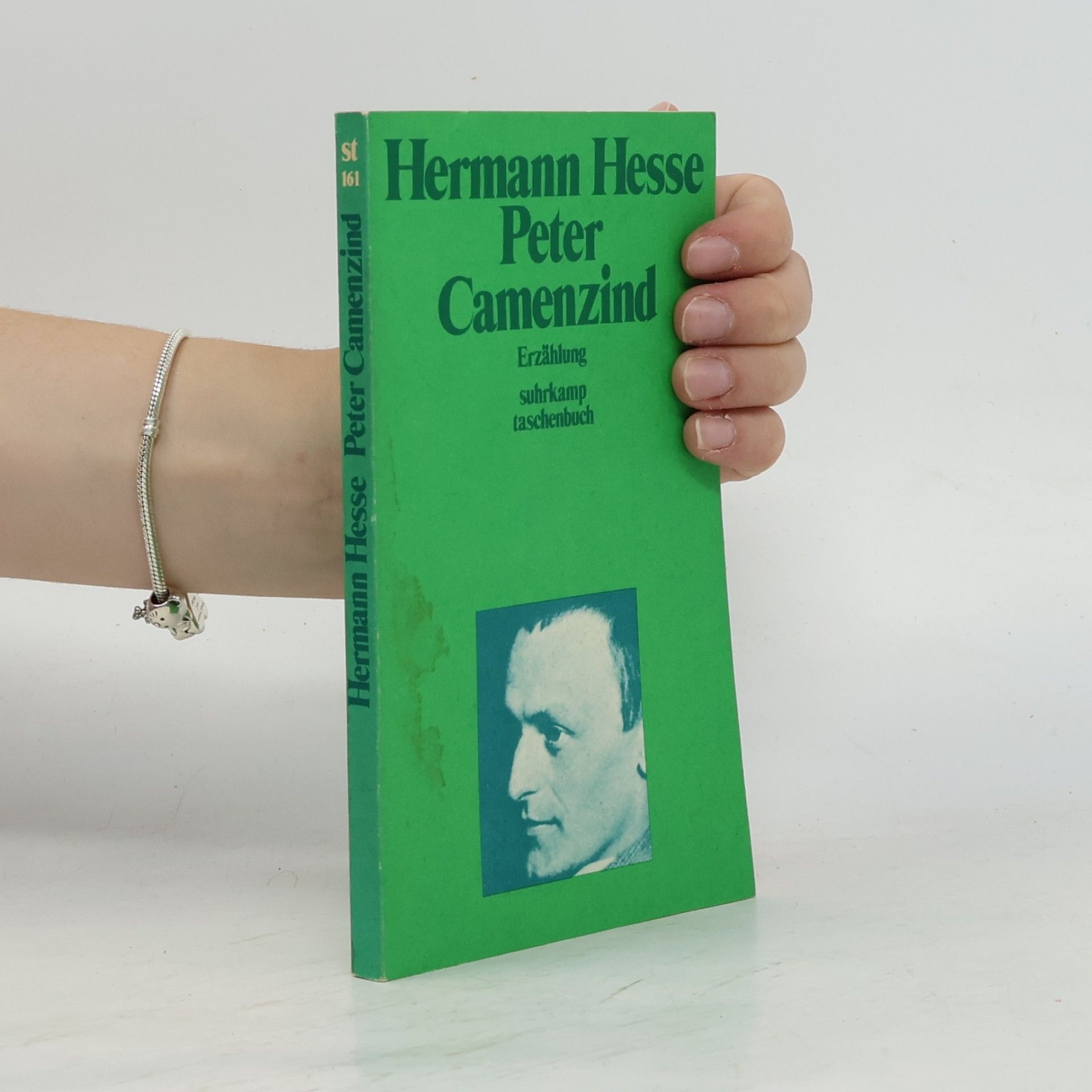 Hermann Hesse Peter Camenzind