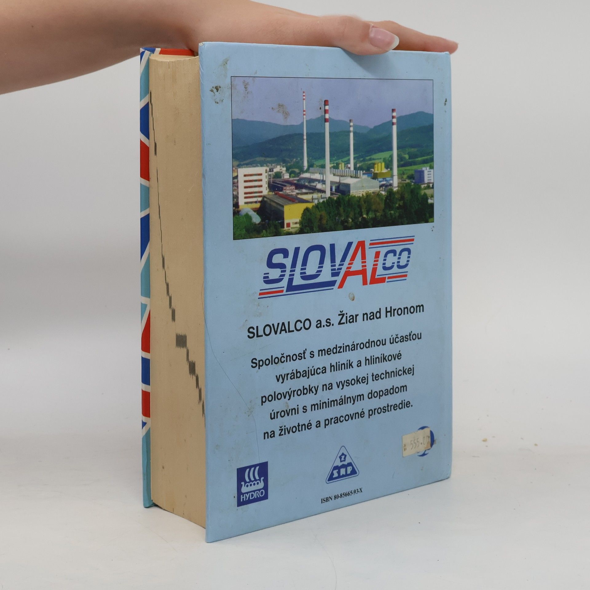Autorenkollektiv Slovensko-anglický slovník
