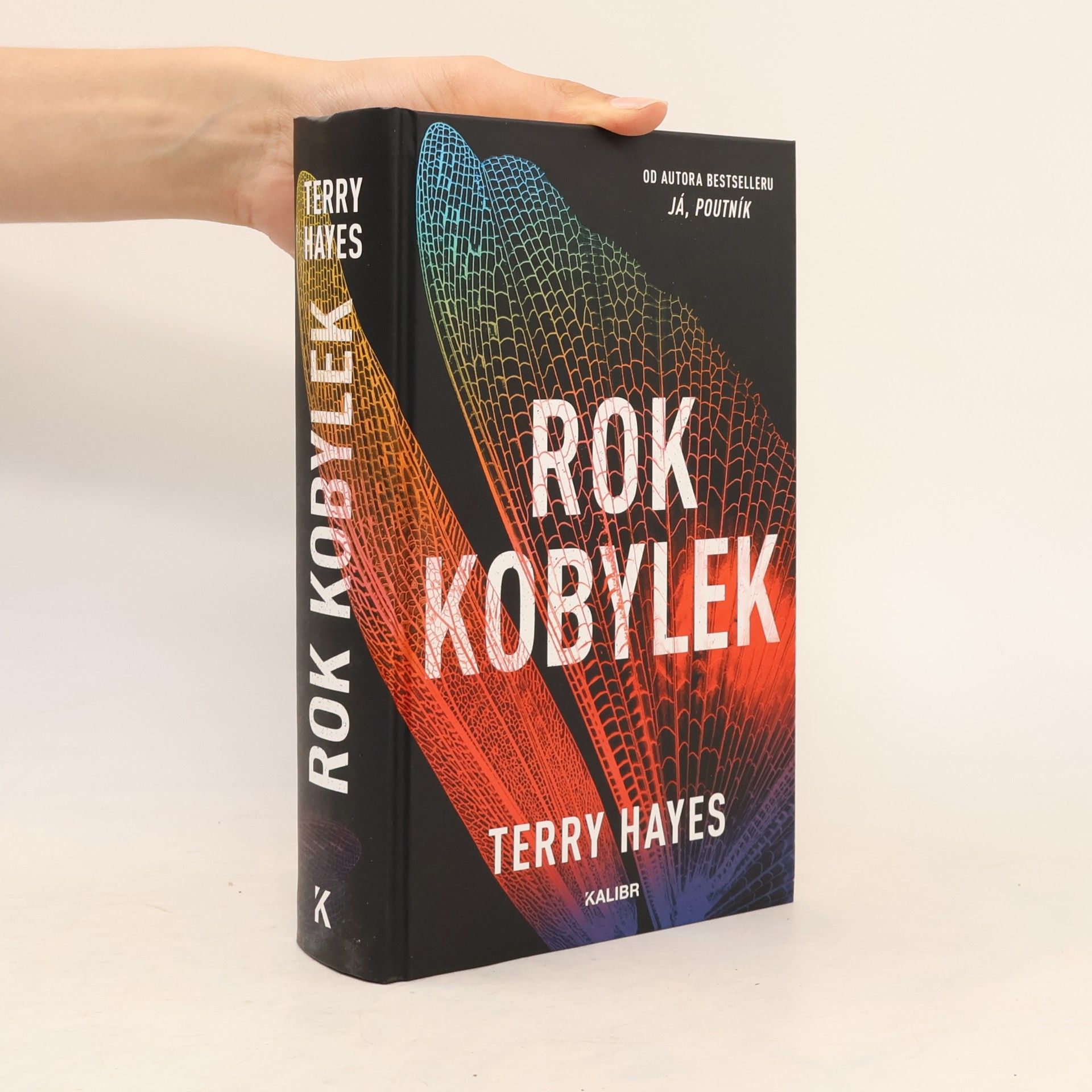 Terry Hayes Rok kobylek