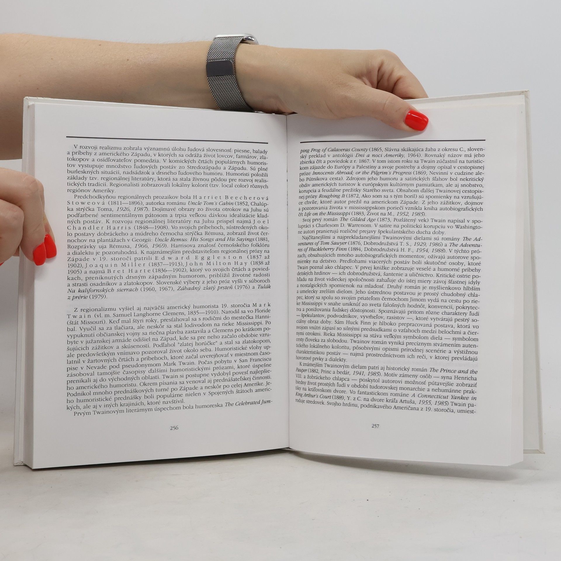 Štefan Baštín Dejiny anglickej a americkej literatúry