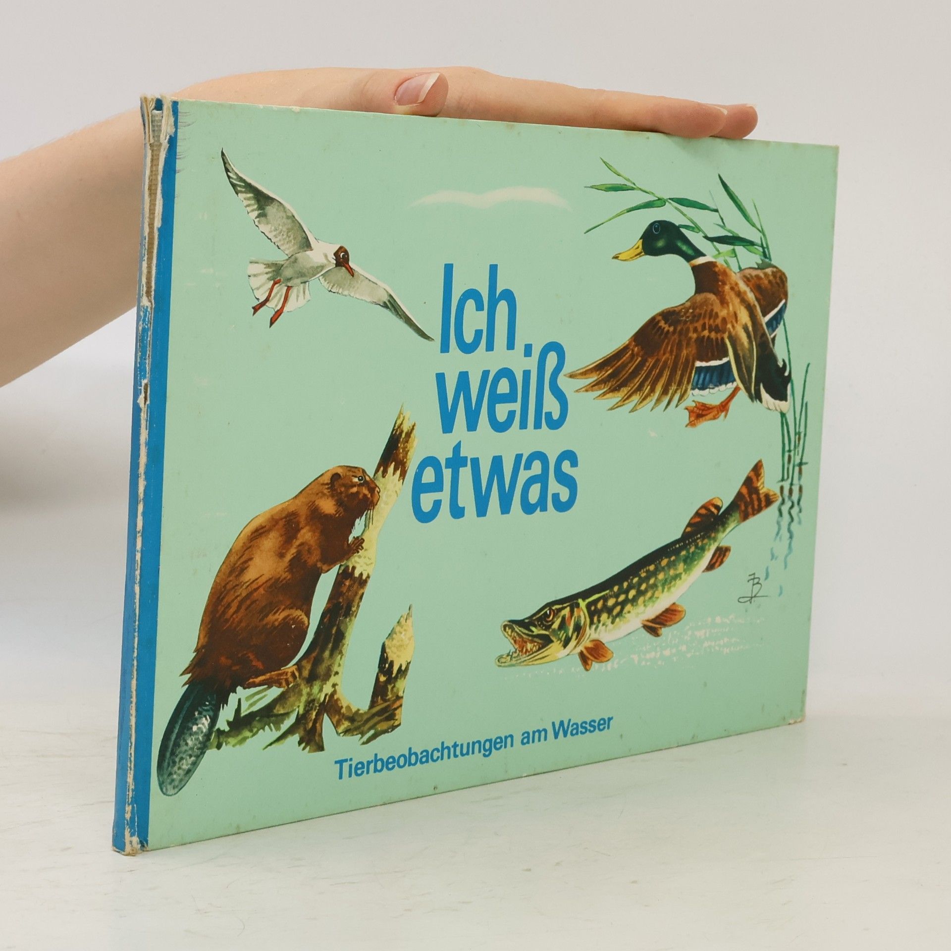 Waldemar Schulz Ich weiß etwas Tierbeobachtungen am Wege