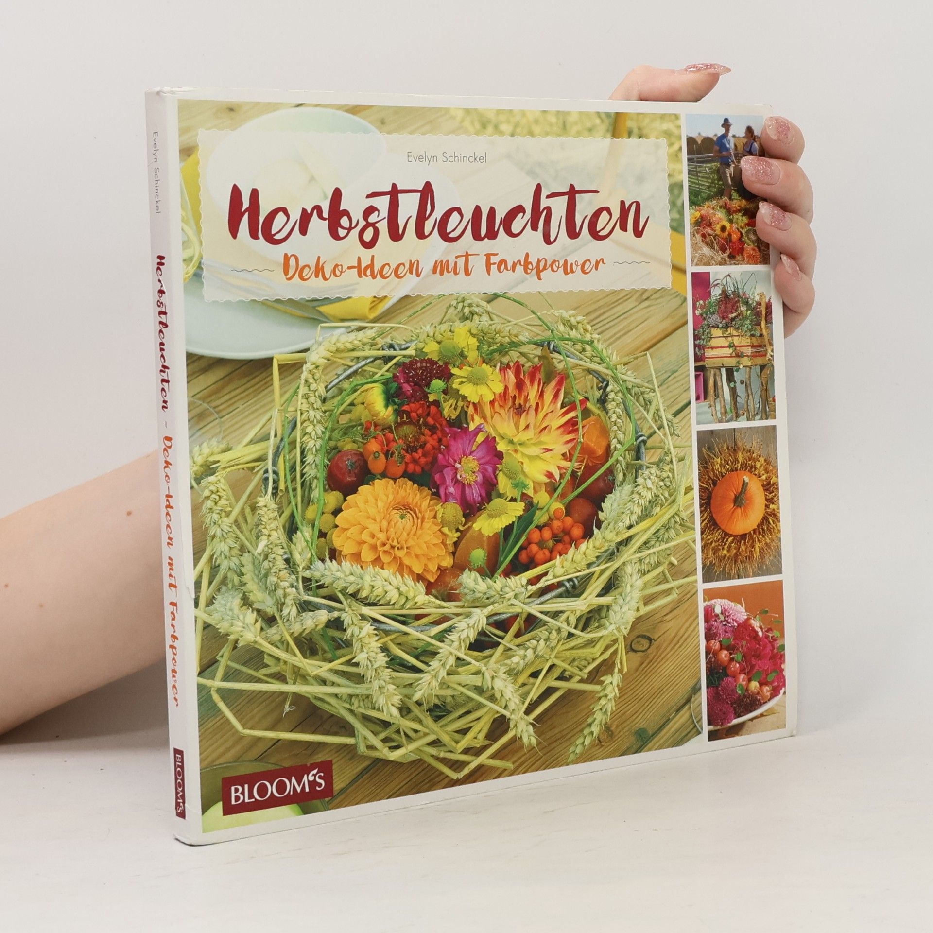 Evelyn Schinckel Herbstleuchten