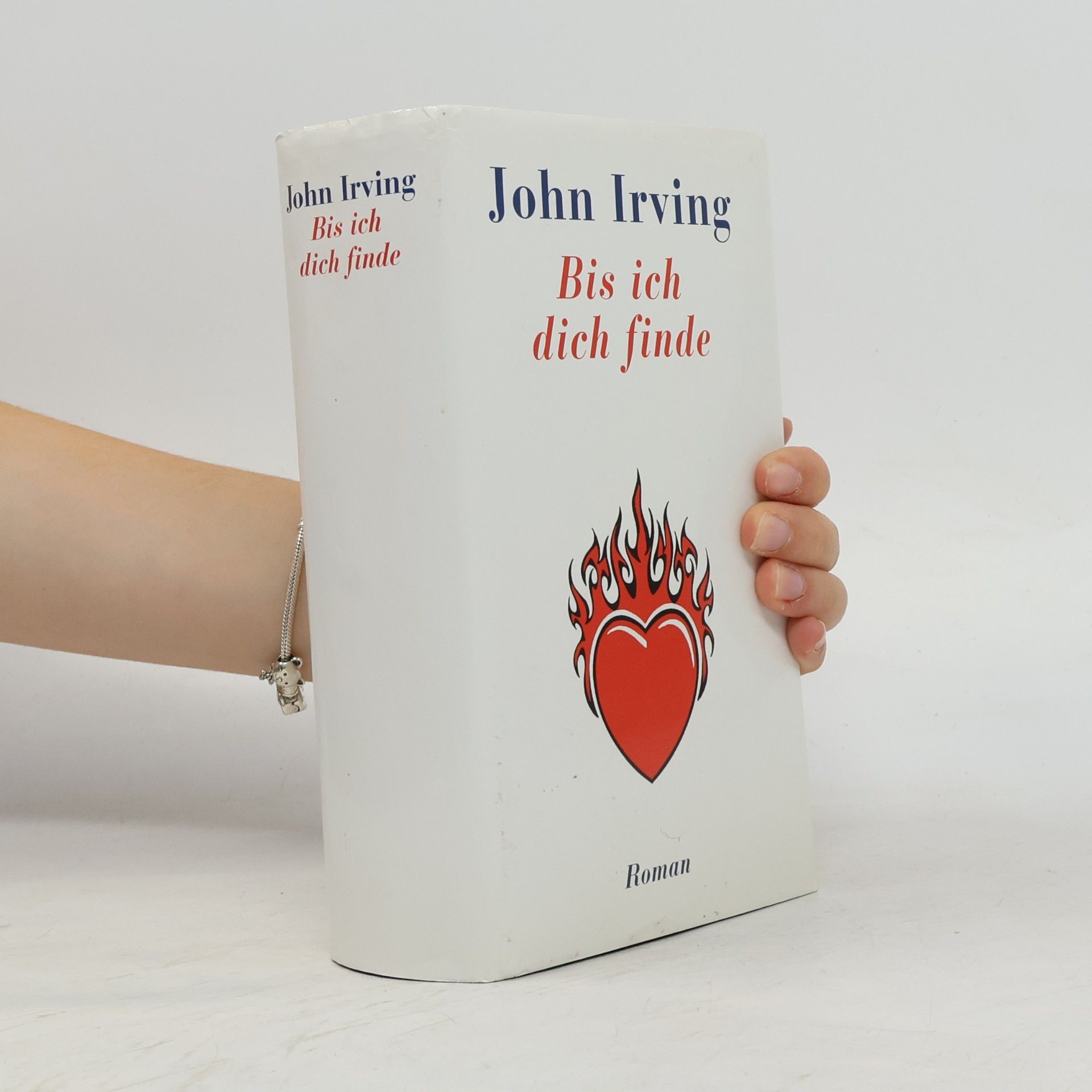 John Irving Bis ich dich finde