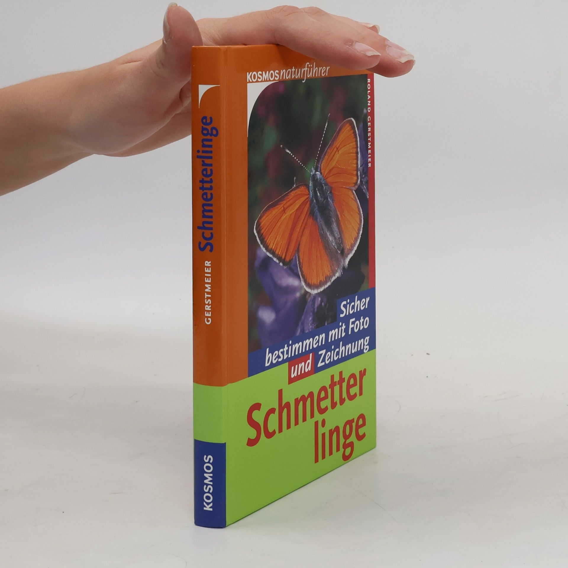 Schmetterlinge
