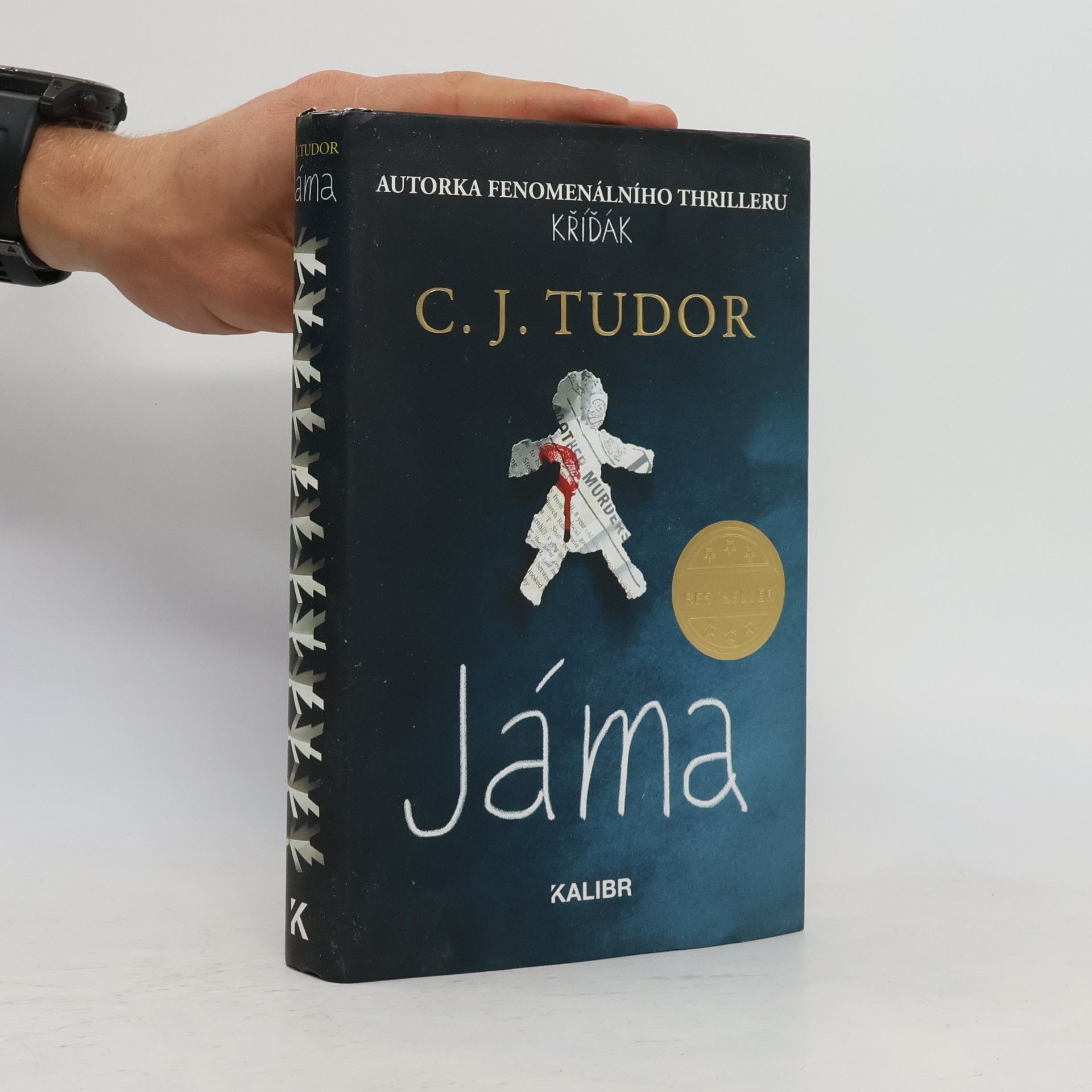 C.J. Tudor Jáma