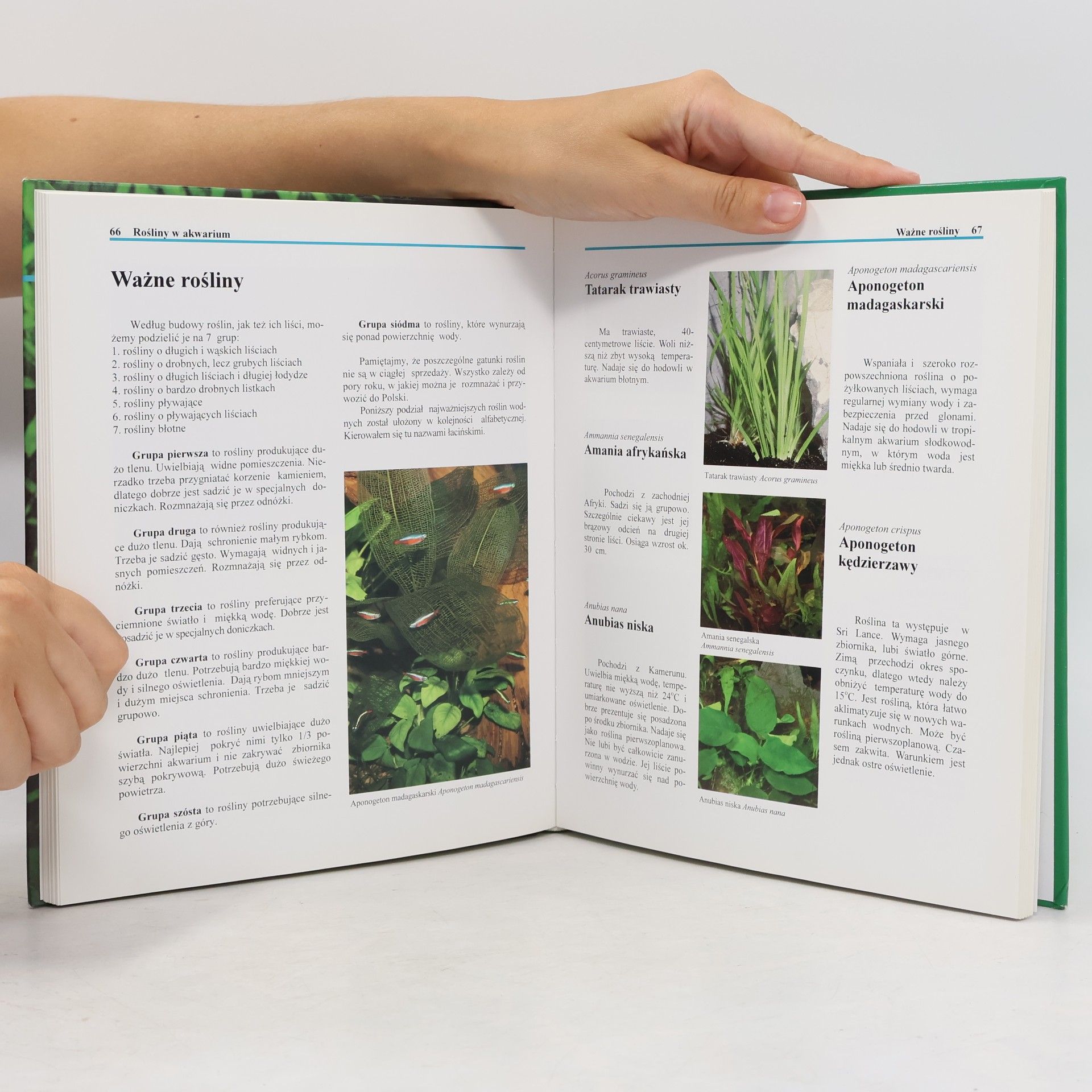 Hans J. Mayland Akvarium