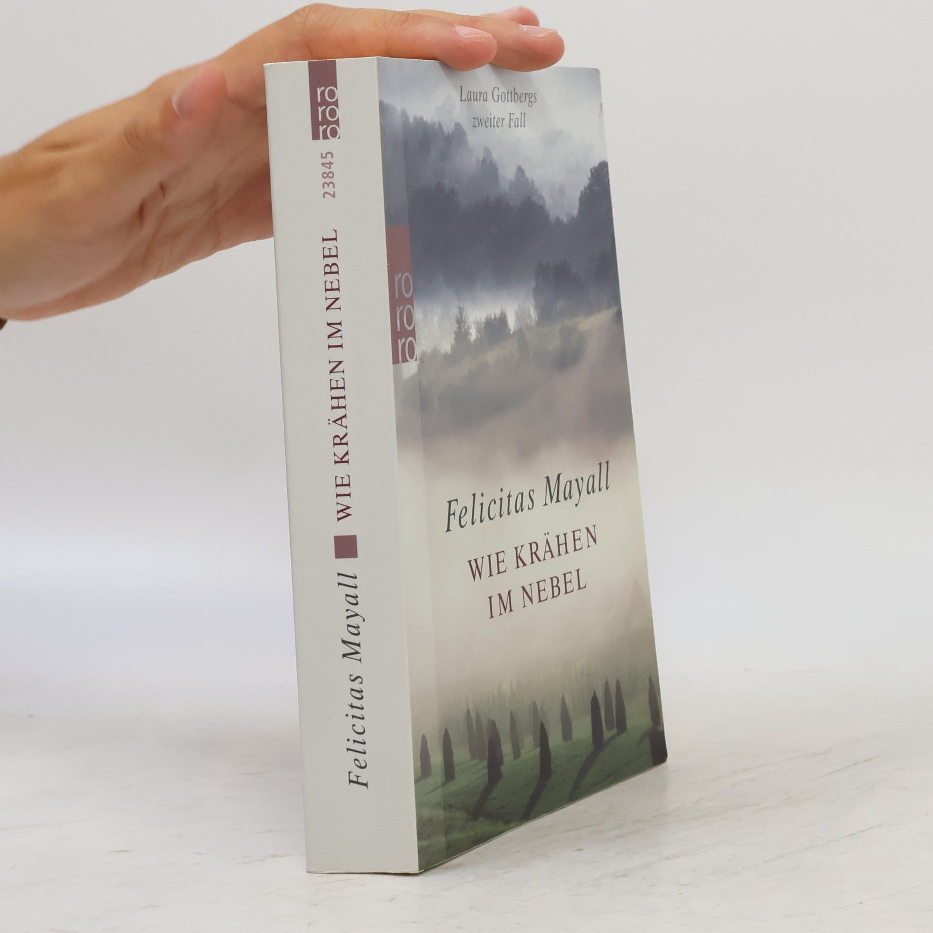 Wie Krähen im Nebel