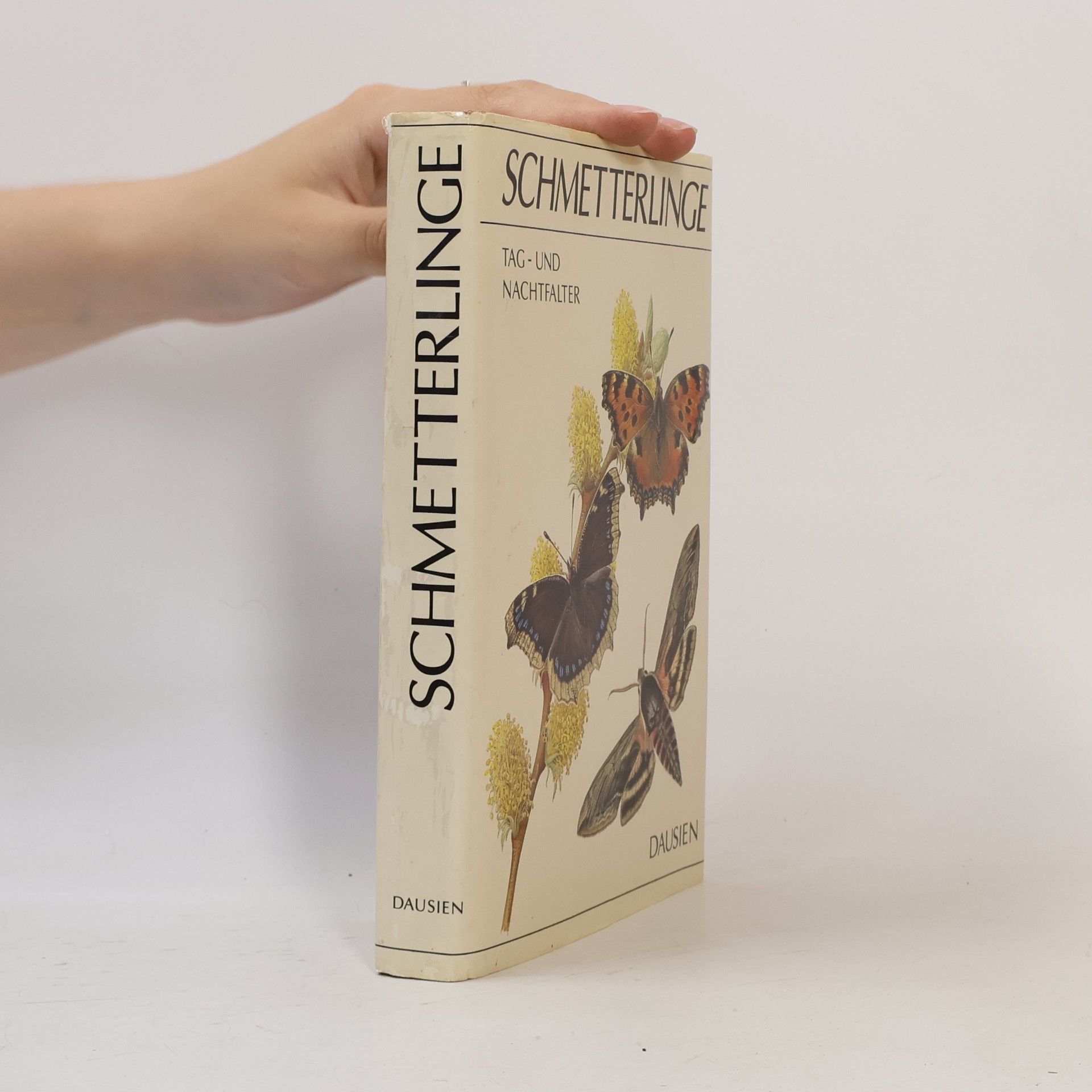 Ivo Novák Schmetterlinge