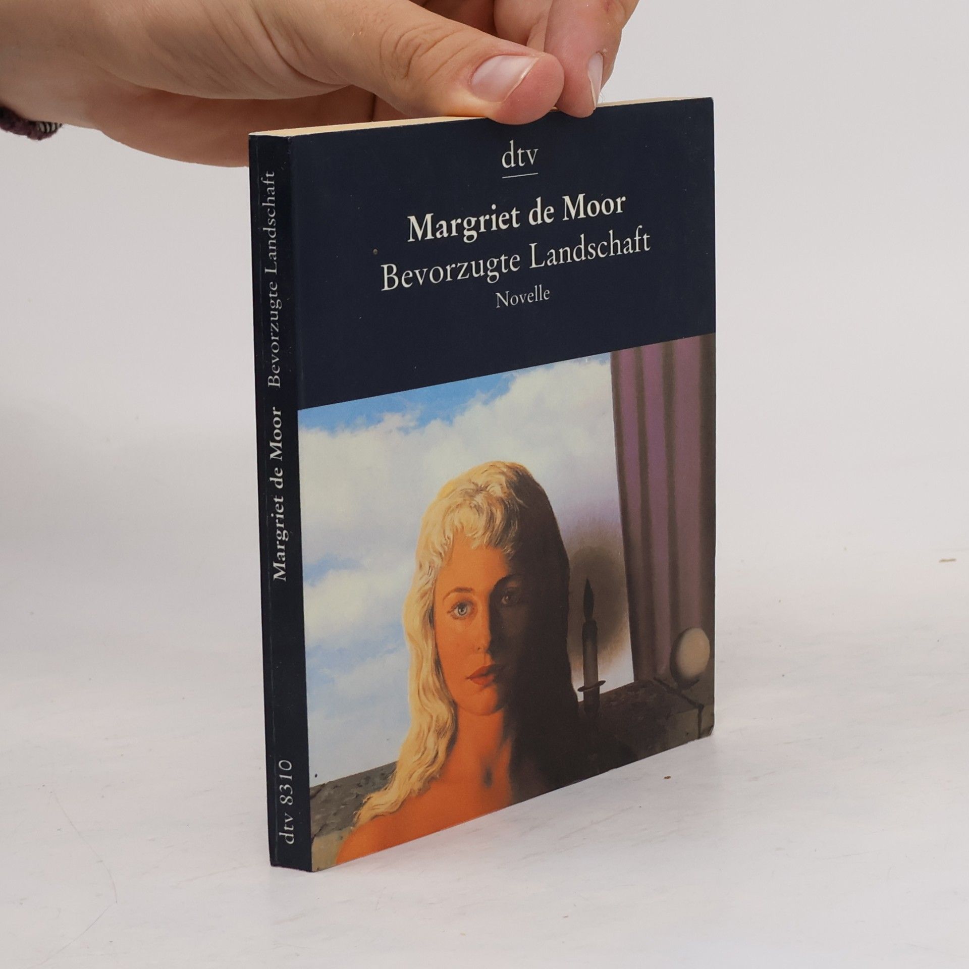 Margriet de Moor Bevorzugte Landschaft