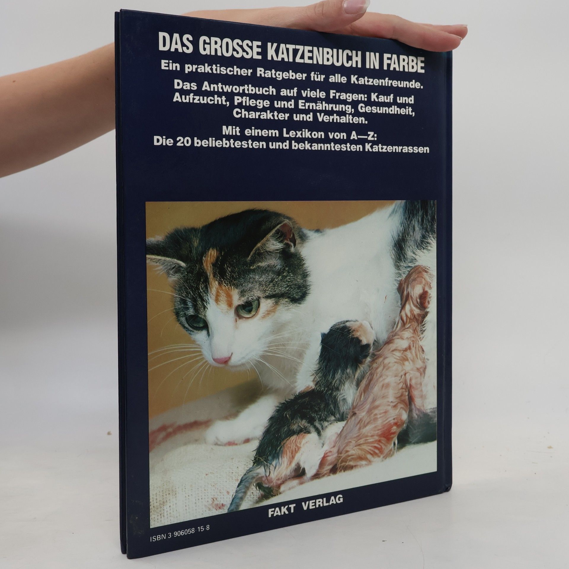 Heinz Sponsel Das grosse Katzenbuch in Farbe