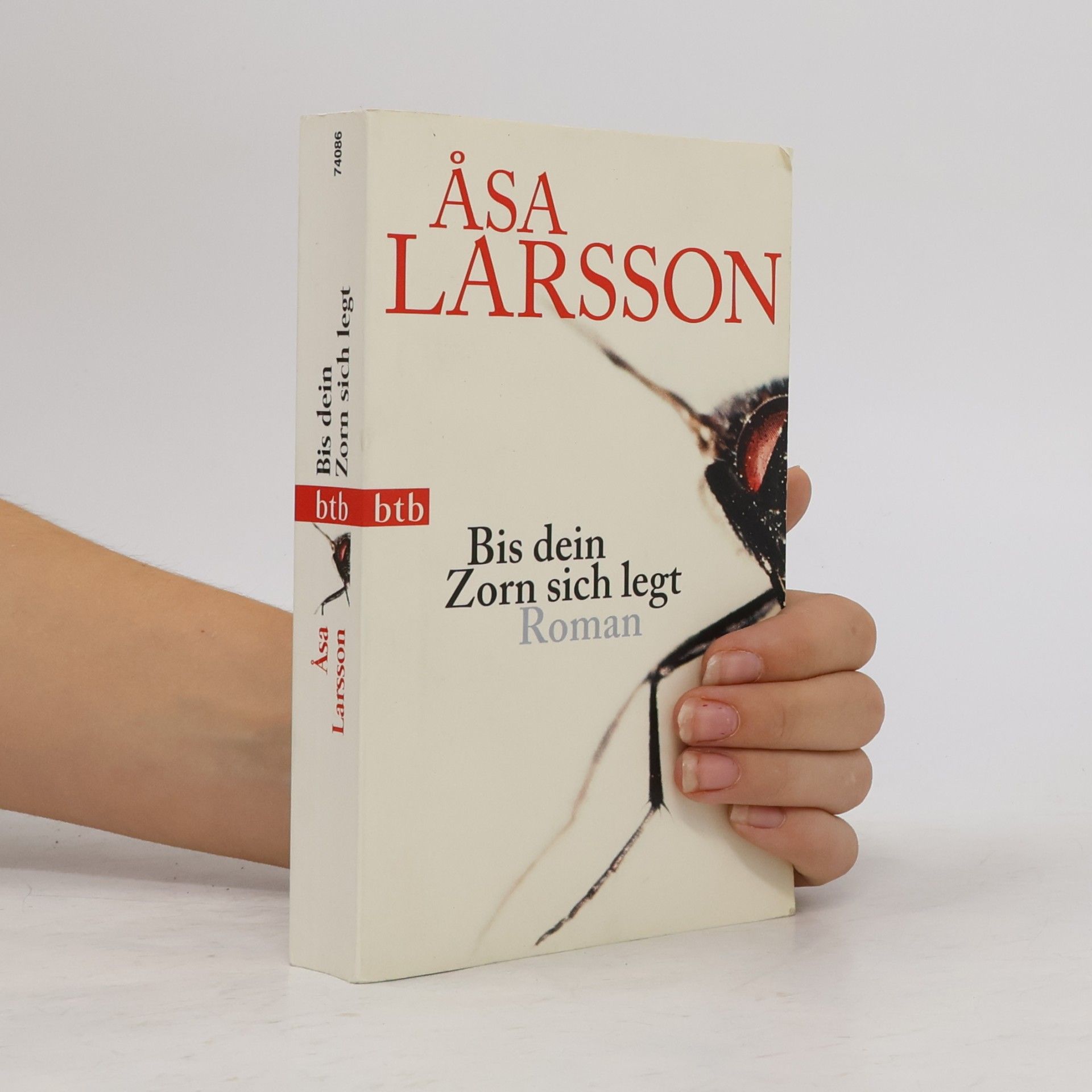 Åsa Larsson Bis dein Zorn sich legt