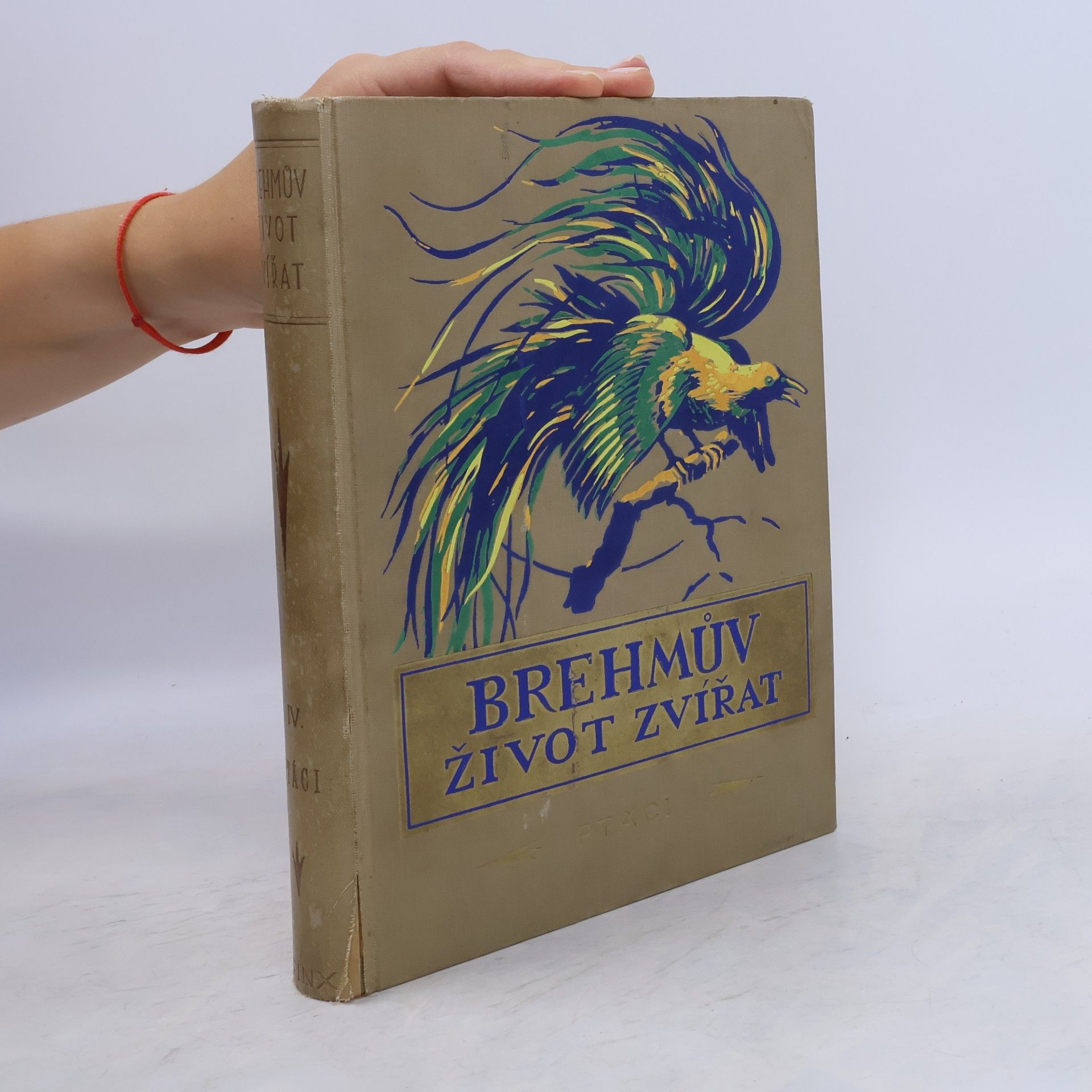 A. Brehm Brehmův Život zvířat, díl V. Ptáci