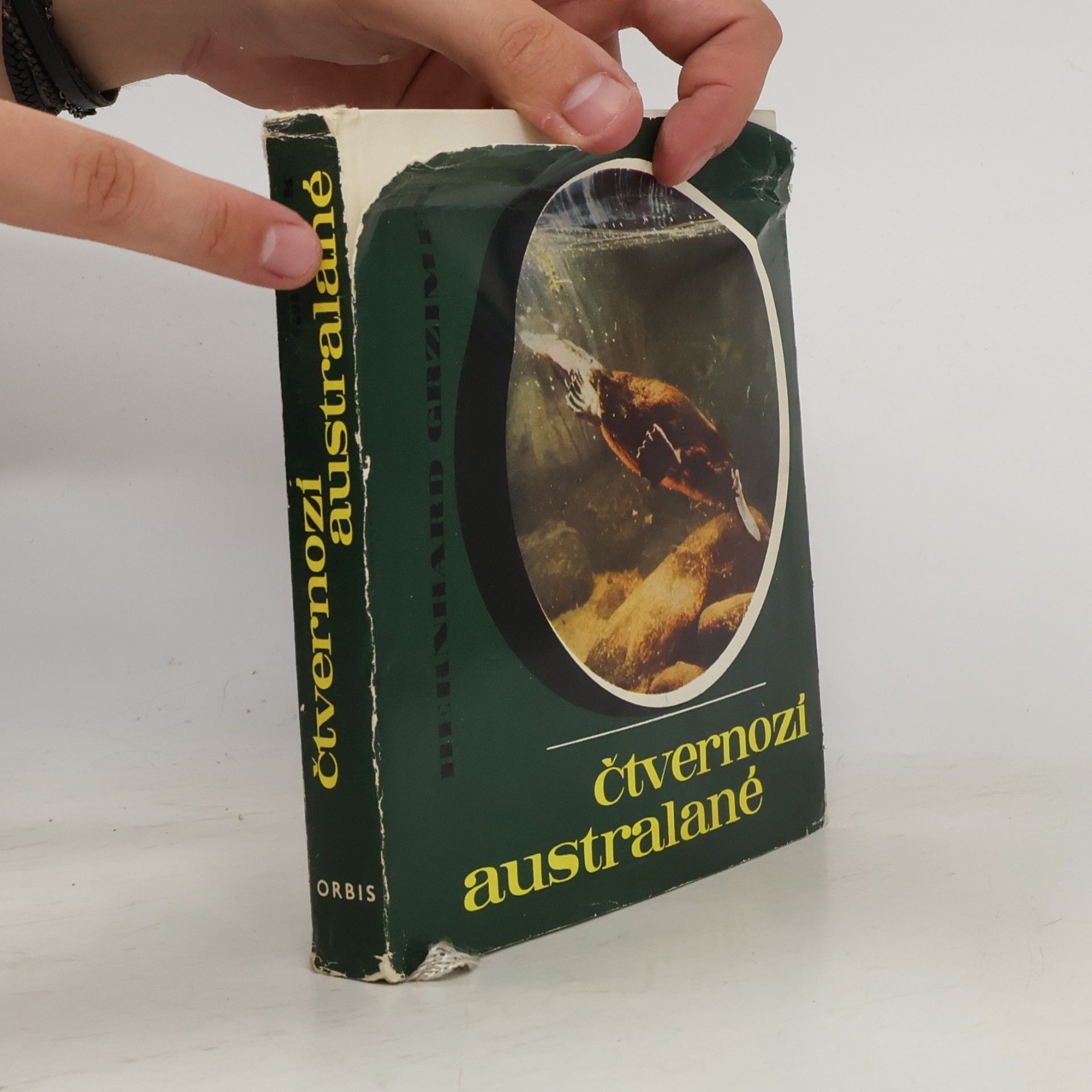 Bernhard Grzimek Čtvernozí Australané
