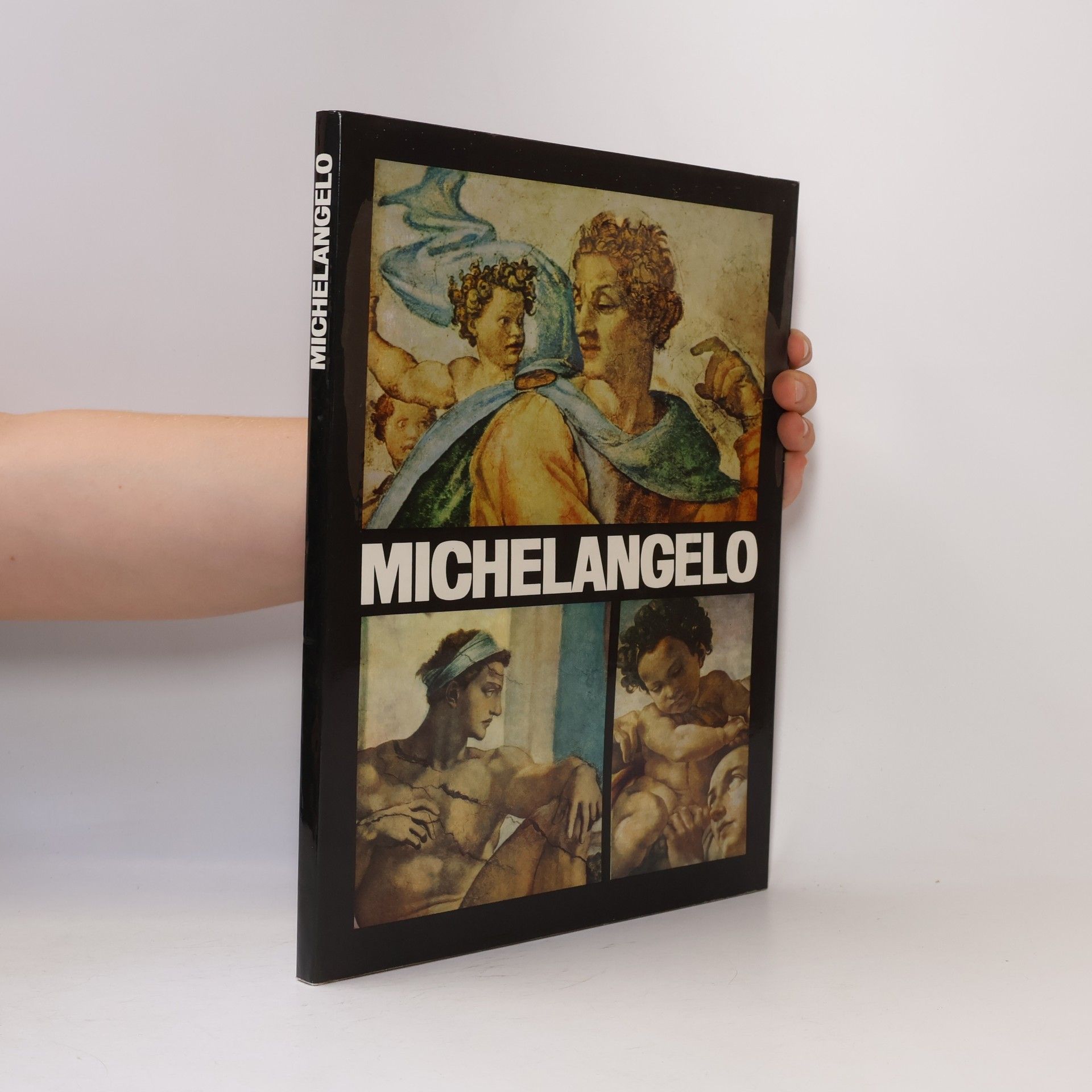 Autorenkollektiv Michelangelo