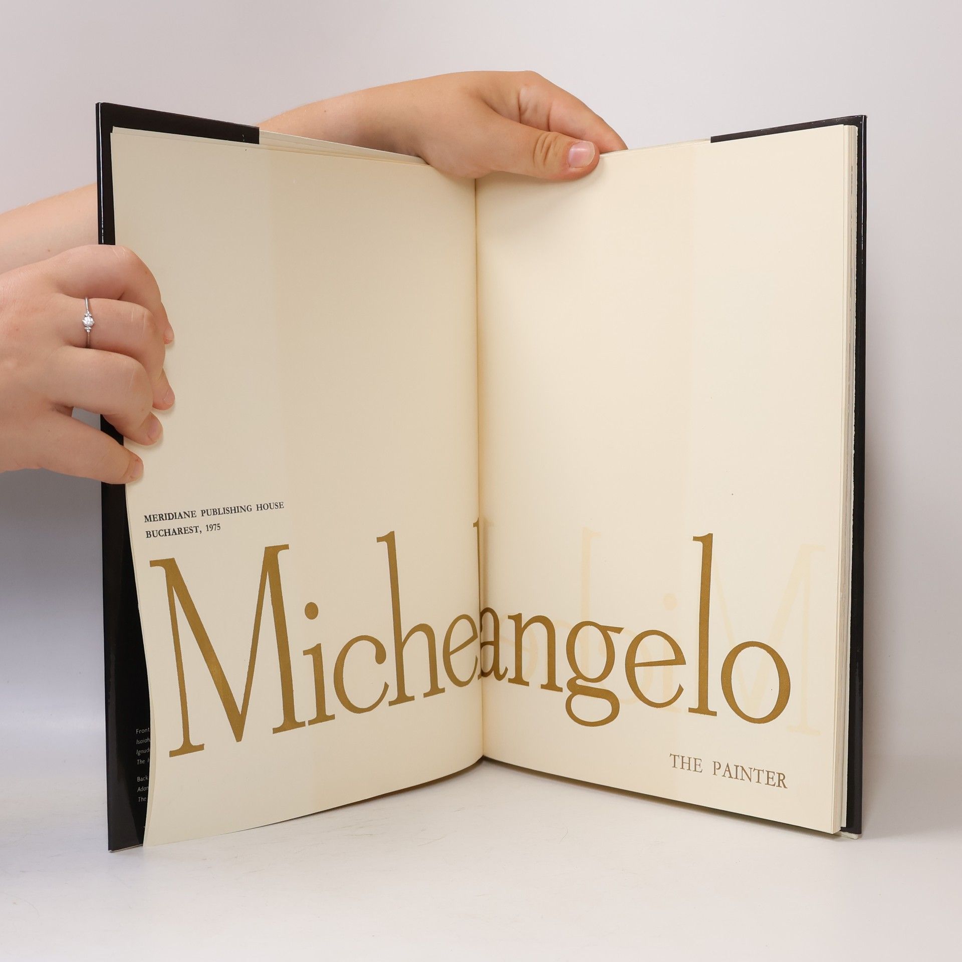 Autorenkollektiv Michelangelo