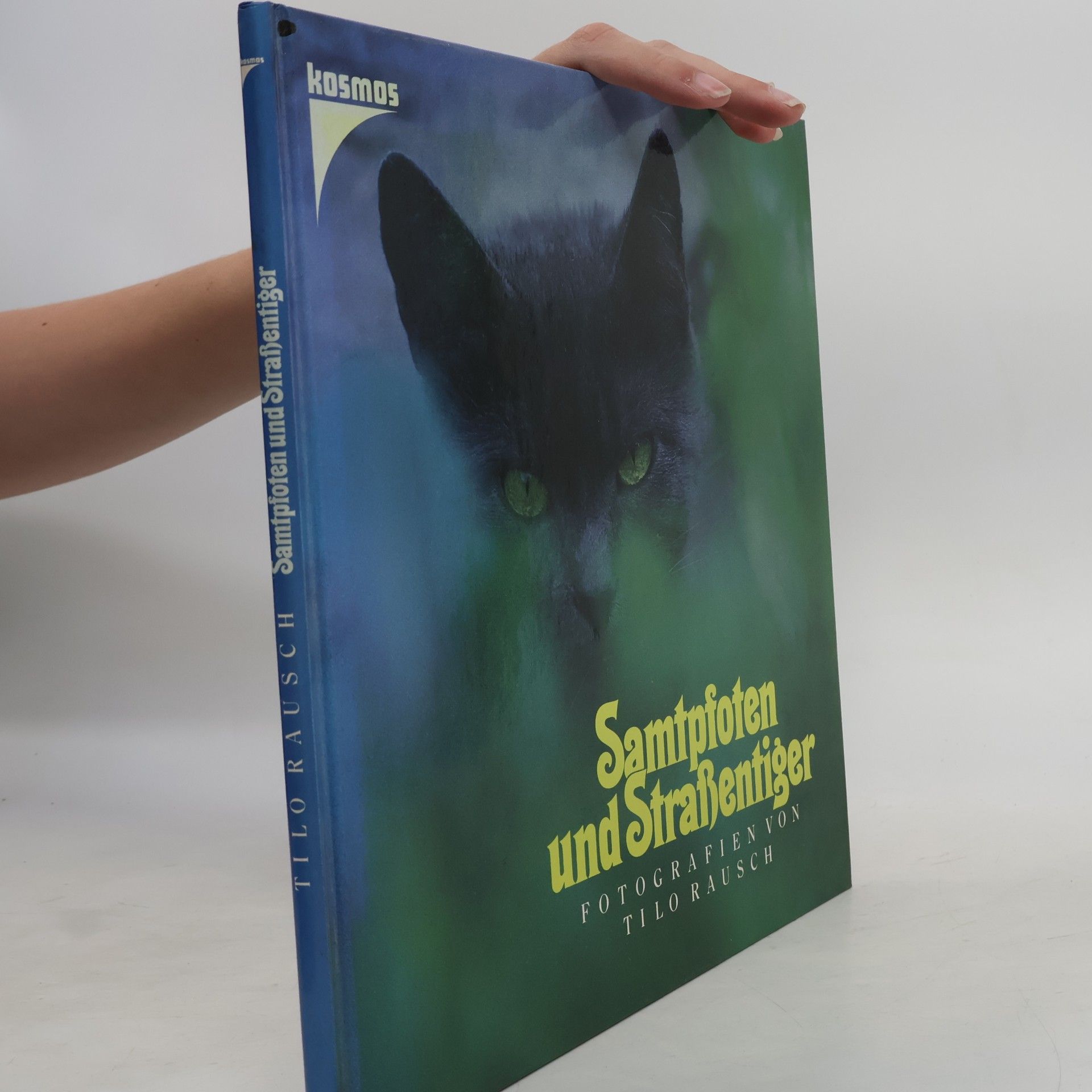 Tilo Rausch Samtpfoten und Strassentiger