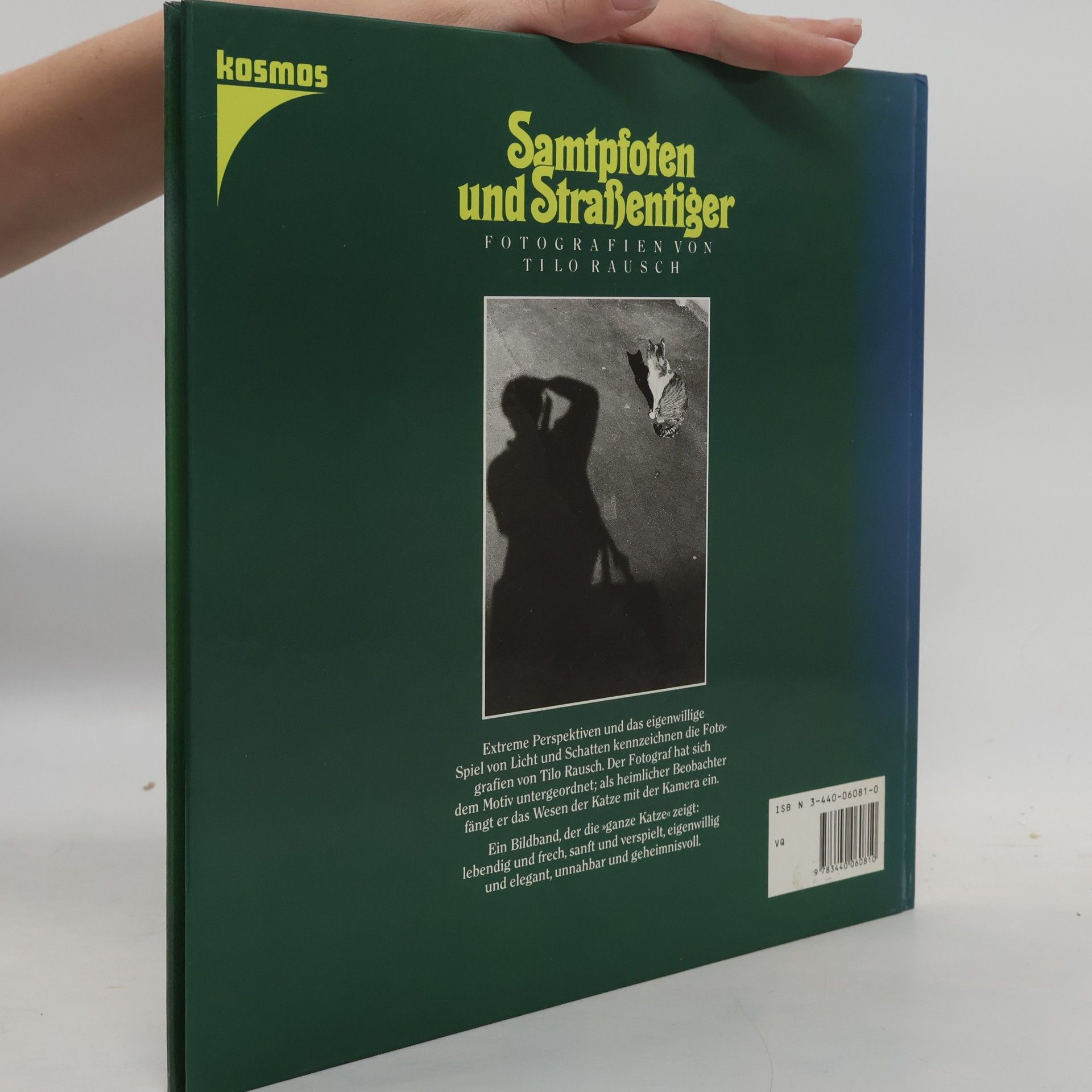 Tilo Rausch Samtpfoten und Strassentiger