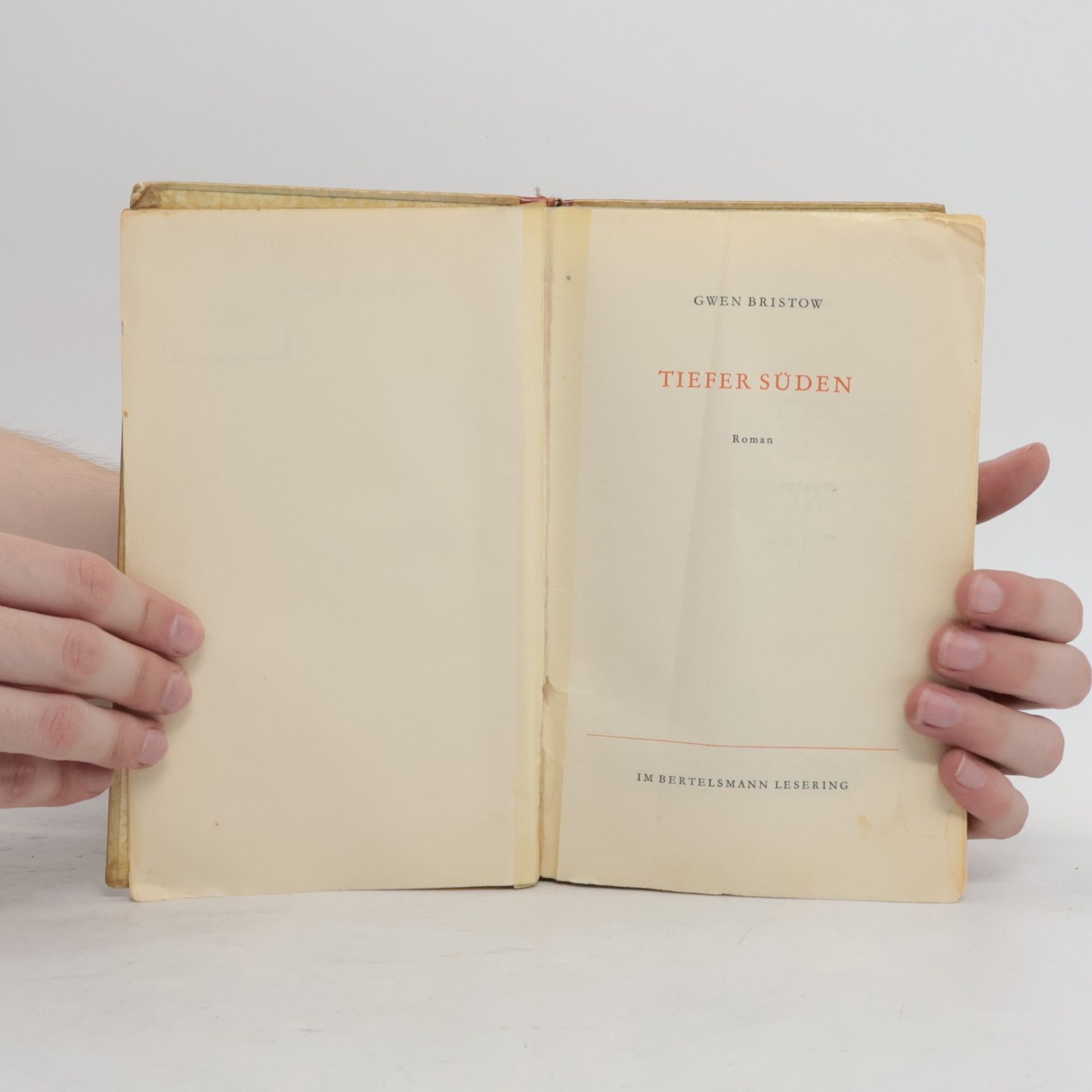 Gwen Bristow Tiefer Süden