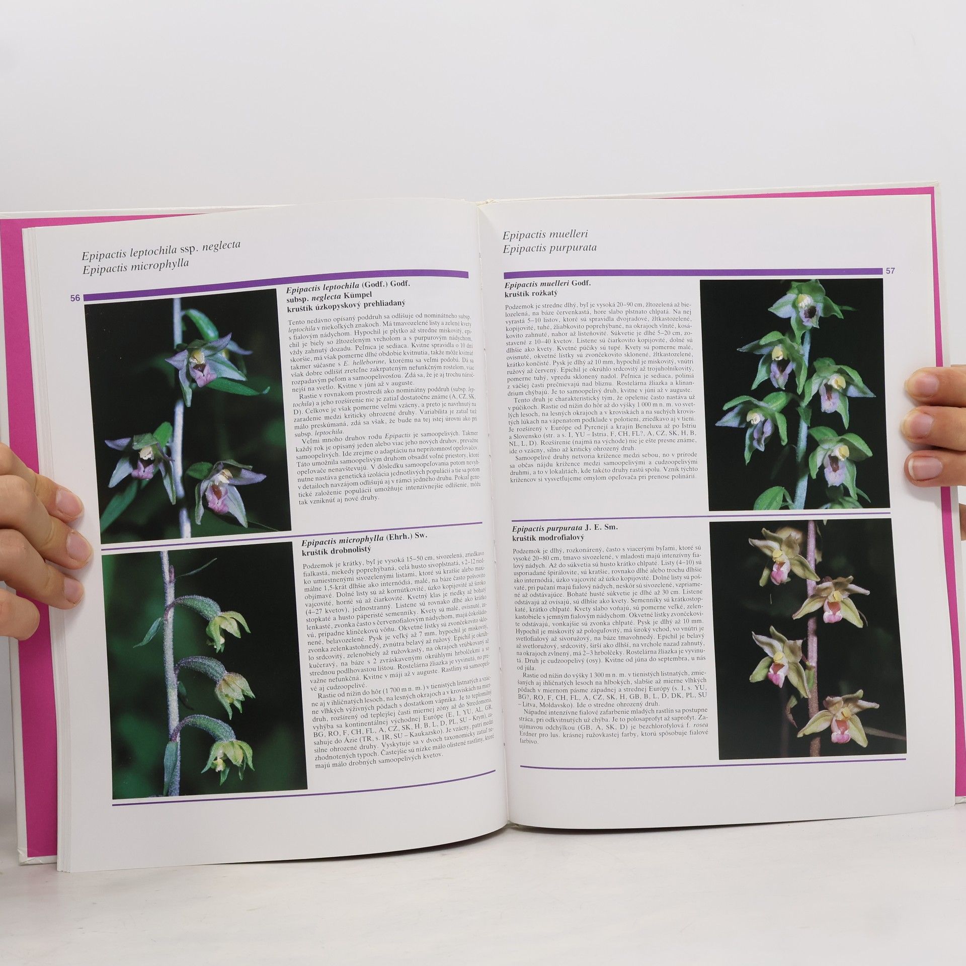 Oldřich Potůček Všetko o orchideách
