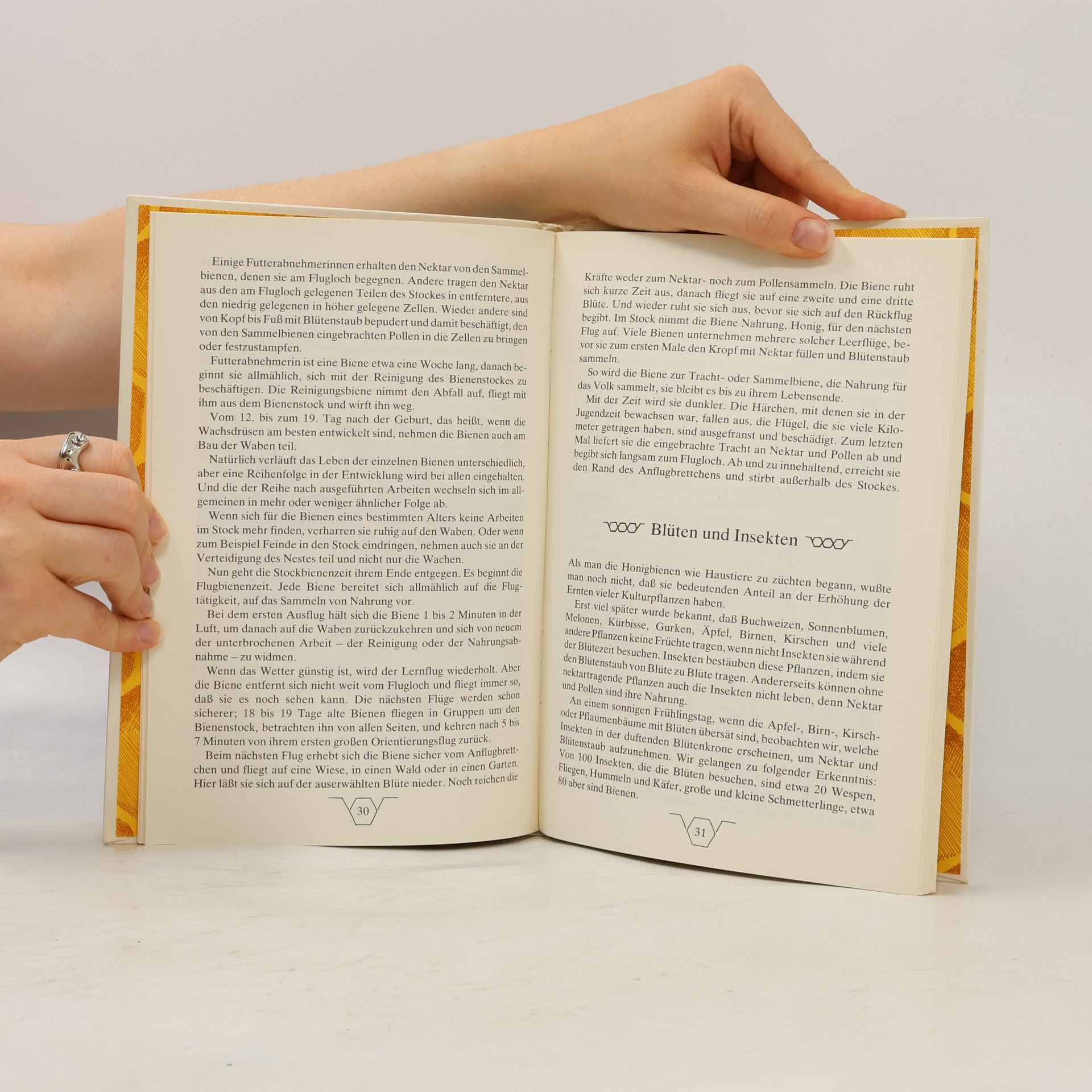 Jossif Chalifman Kleines Bienenbuch